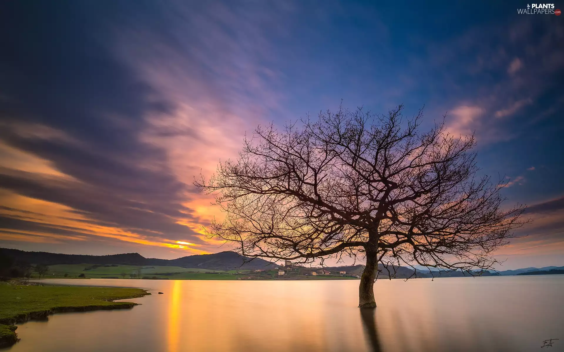 lake, Great Sunsets, trees, Mountains