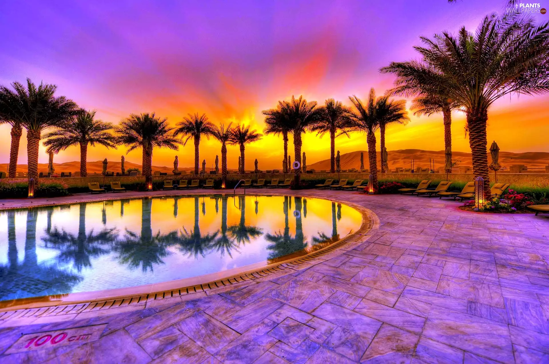 Pool, Great Sunsets, Palms, Park