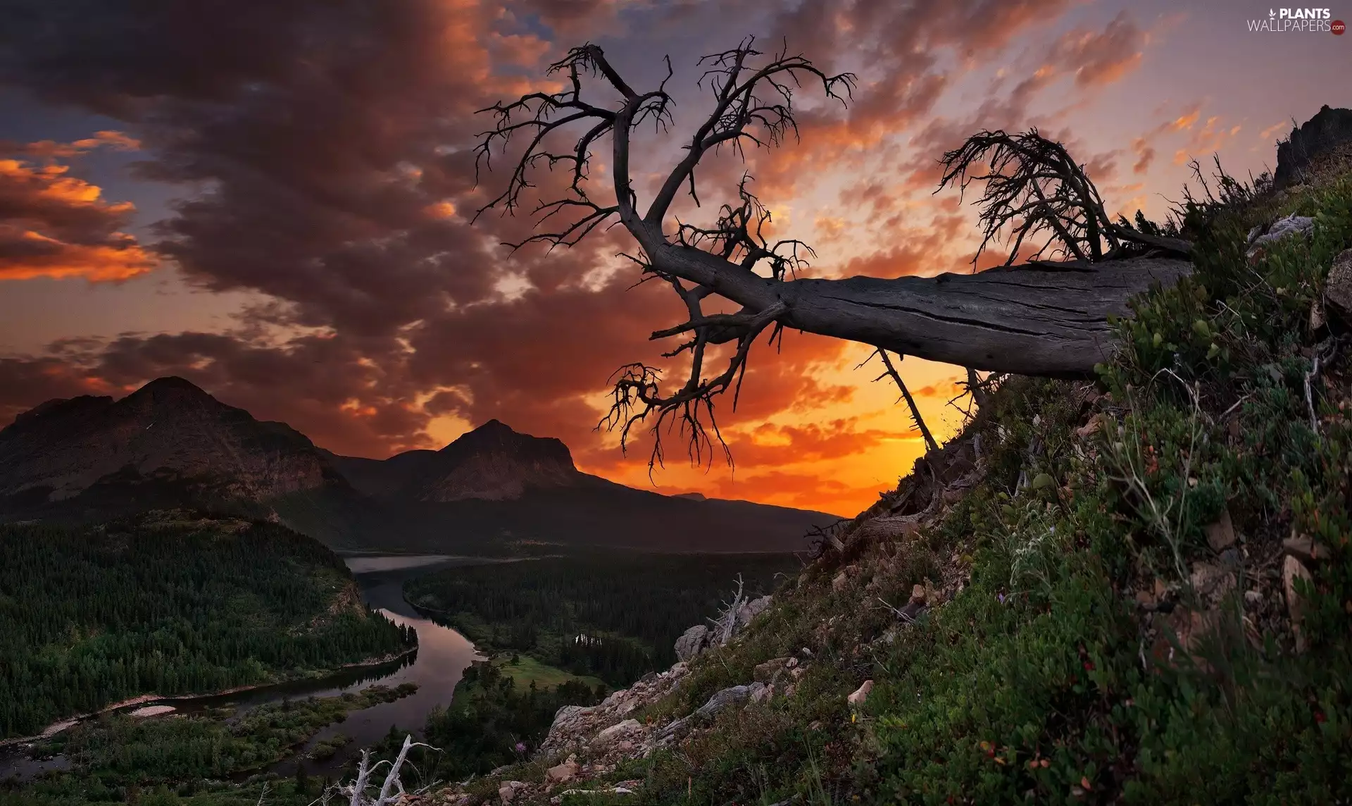 Mountains, Great Sunsets, trees, River