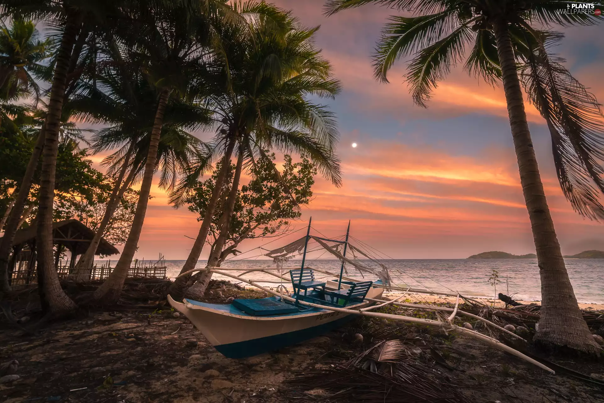 Palms, Great Sunsets, Boat, sea