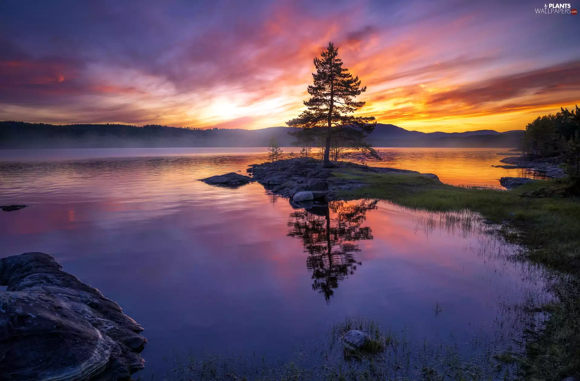 lake, Great Sunsets, Stones, trees
