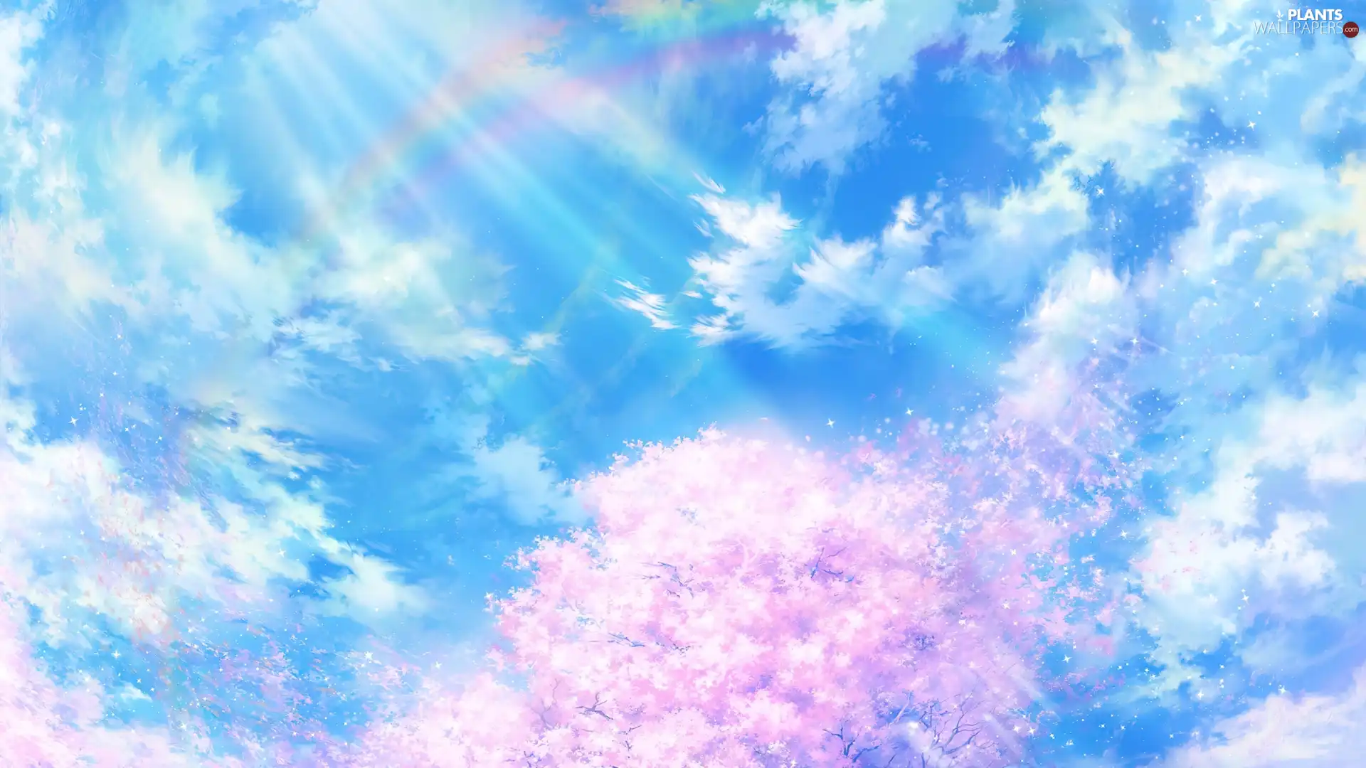 trees, Sky, Great Rainbows