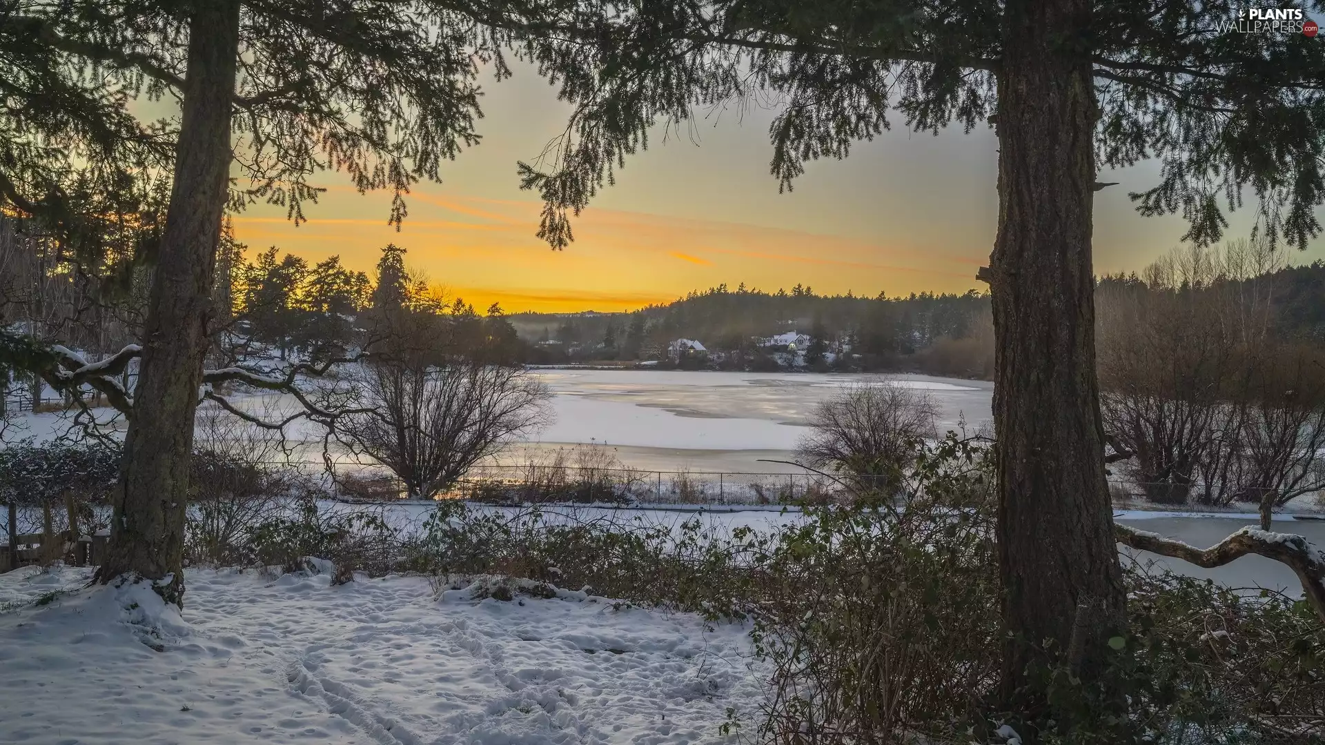 Great Sunsets, winter, frozen, Flooded, viewes, snow, Houses, trees, Field