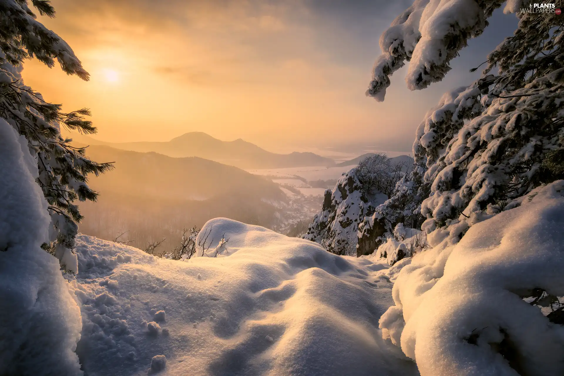 snow, winter, viewes, Great Sunsets, trees, Mountains