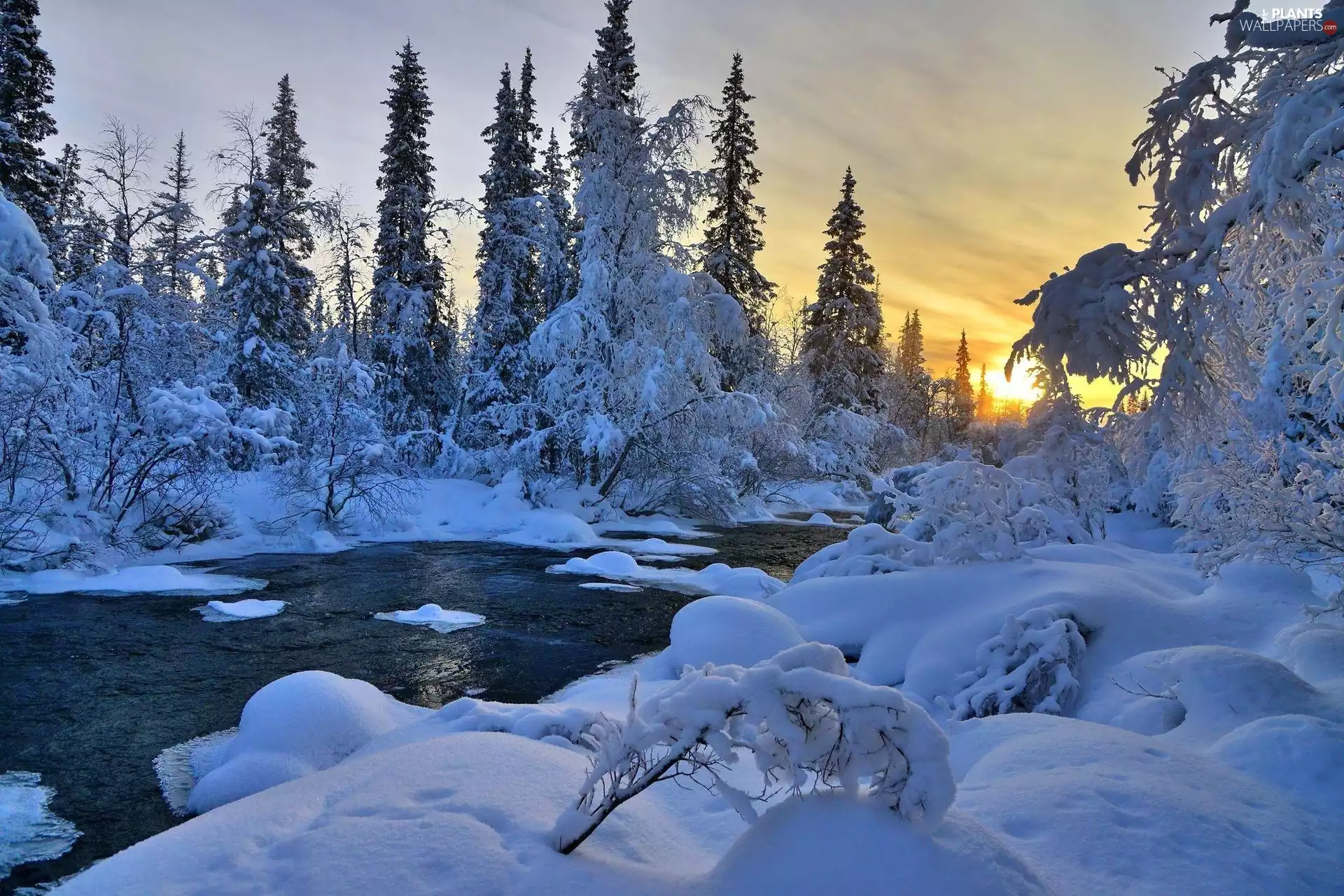 trees, viewes, River, Great Sunsets, winter
