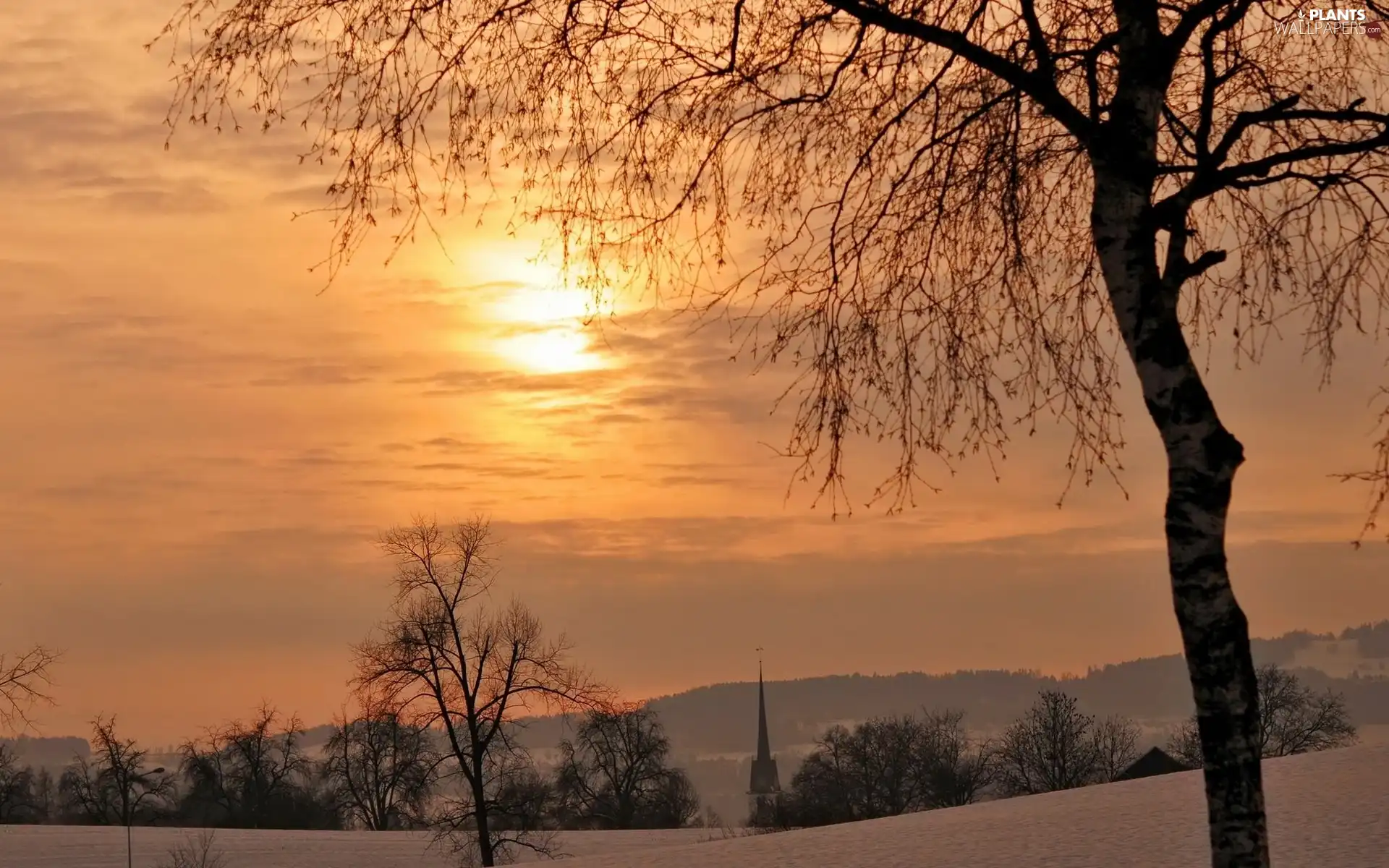 Great Sunsets, winter, trees, viewes, field