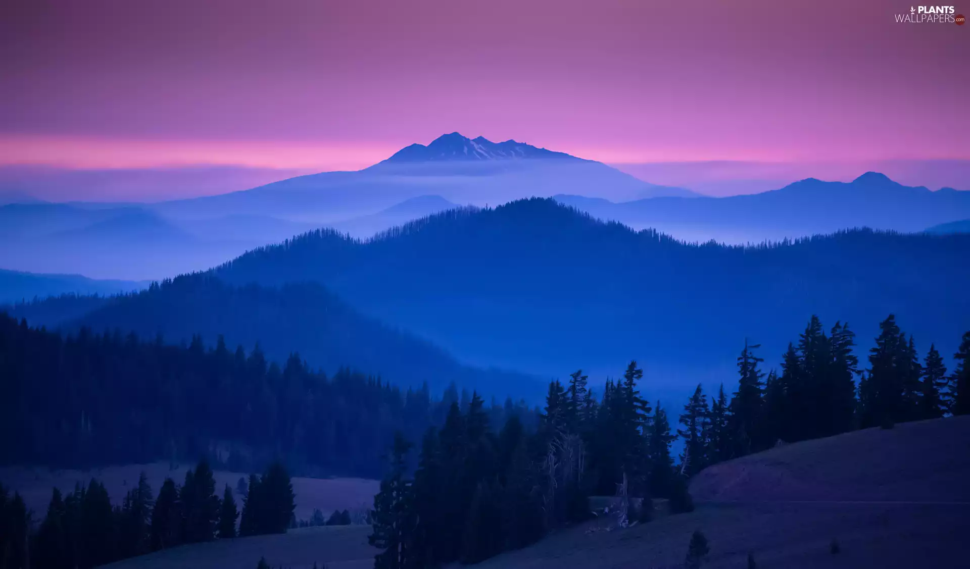 viewes, Mountains, woods, Great Sunsets, Fog, trees