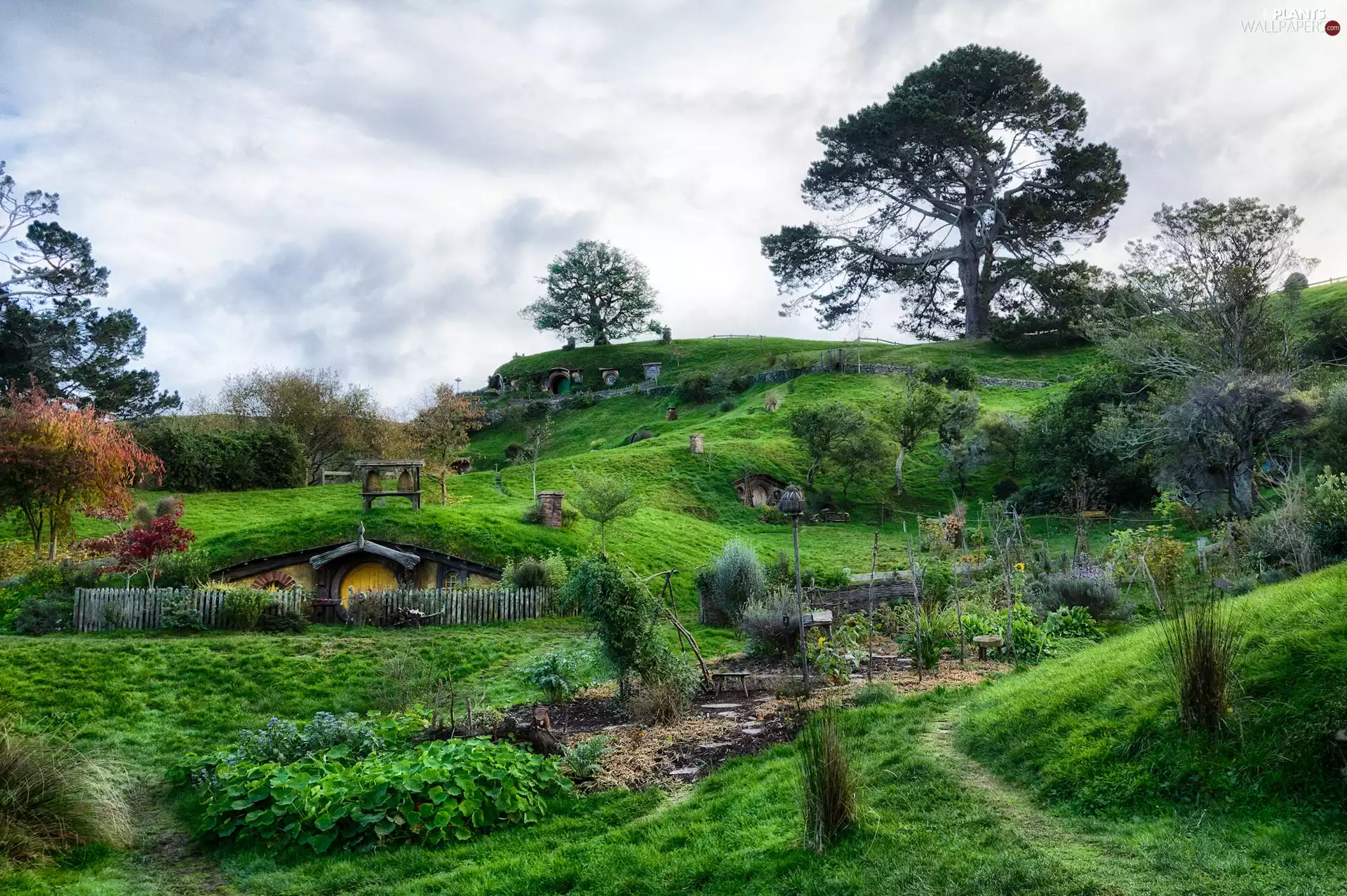 Hobbit, Houses, viewes, green, trees, Clay