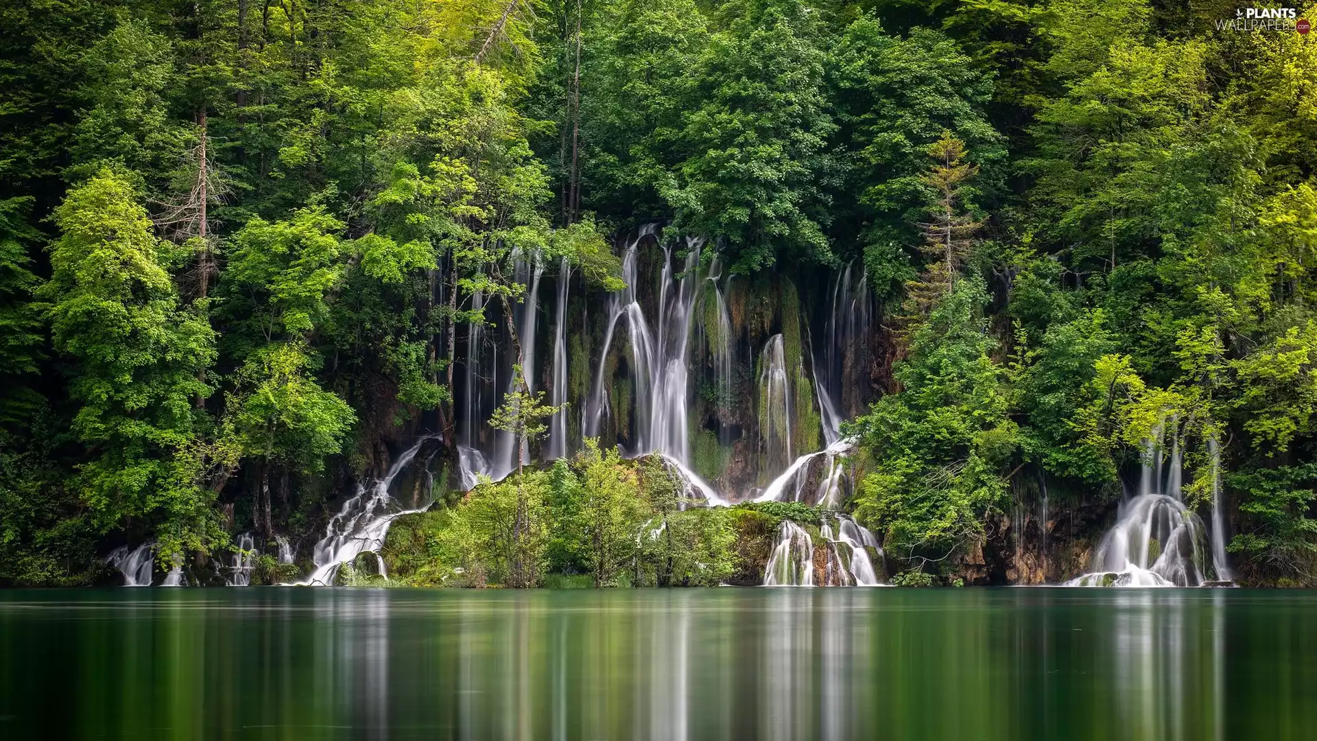 trees, viewes, waterfall, green ones, forest