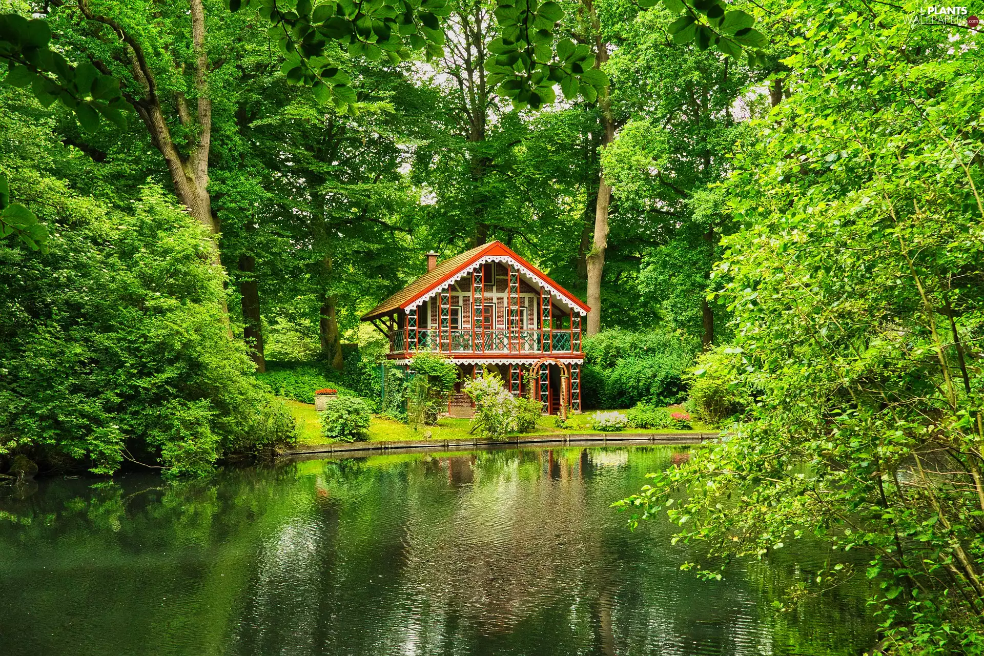 trees, viewes, lake, green ones, Home