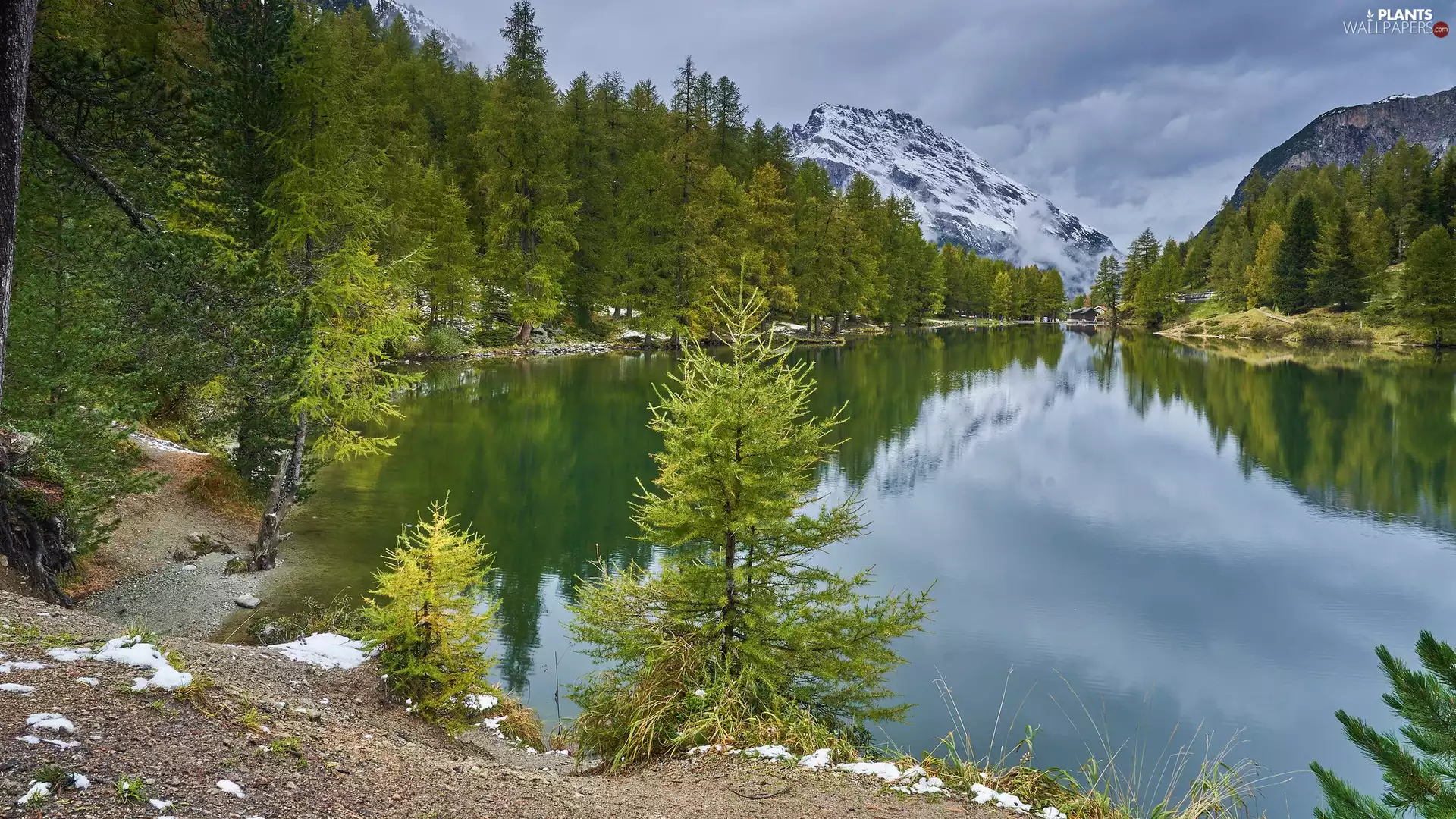 trees, viewes, lake, green ones, Mountains