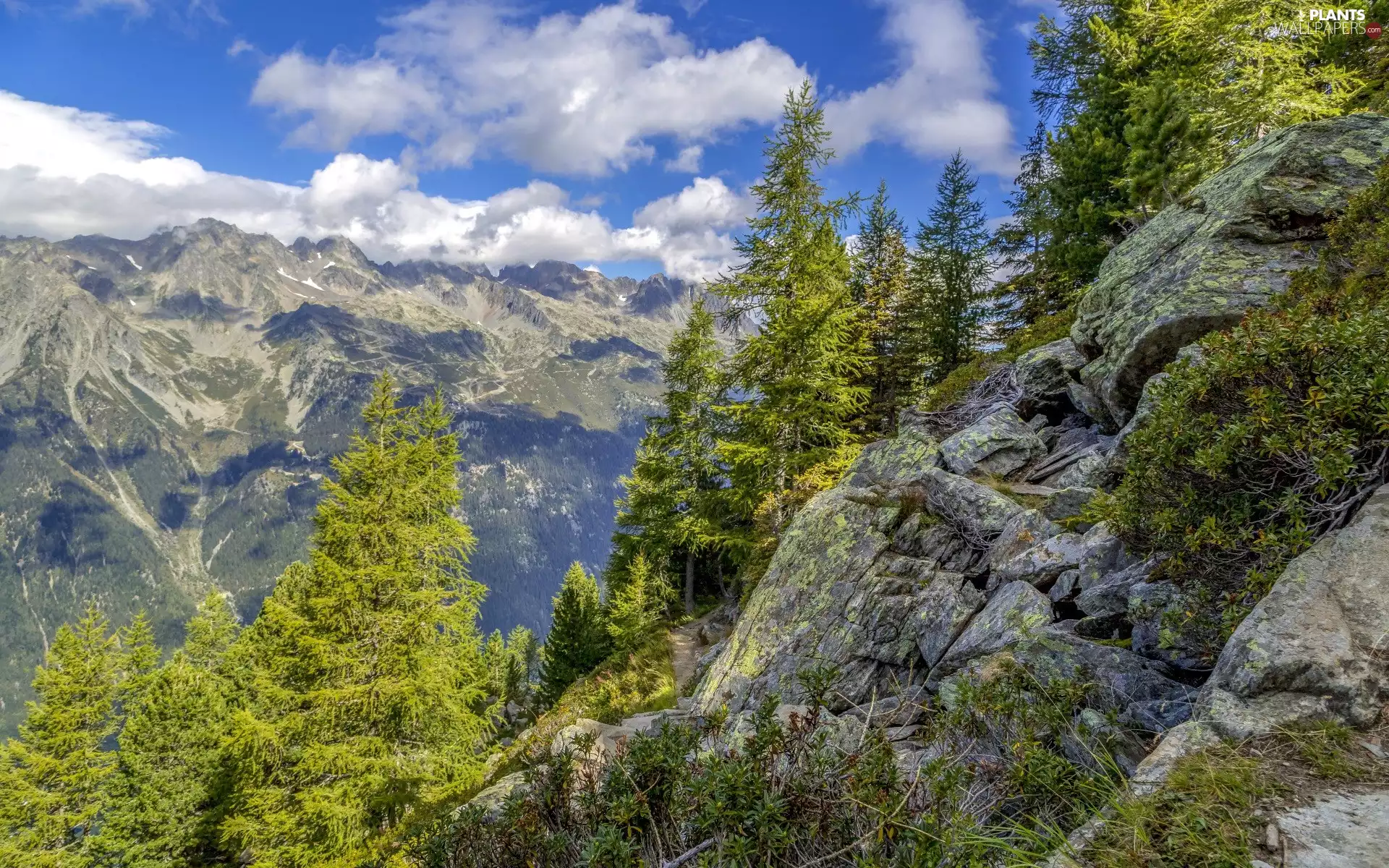 trees, viewes, rocks, green ones, Mountains