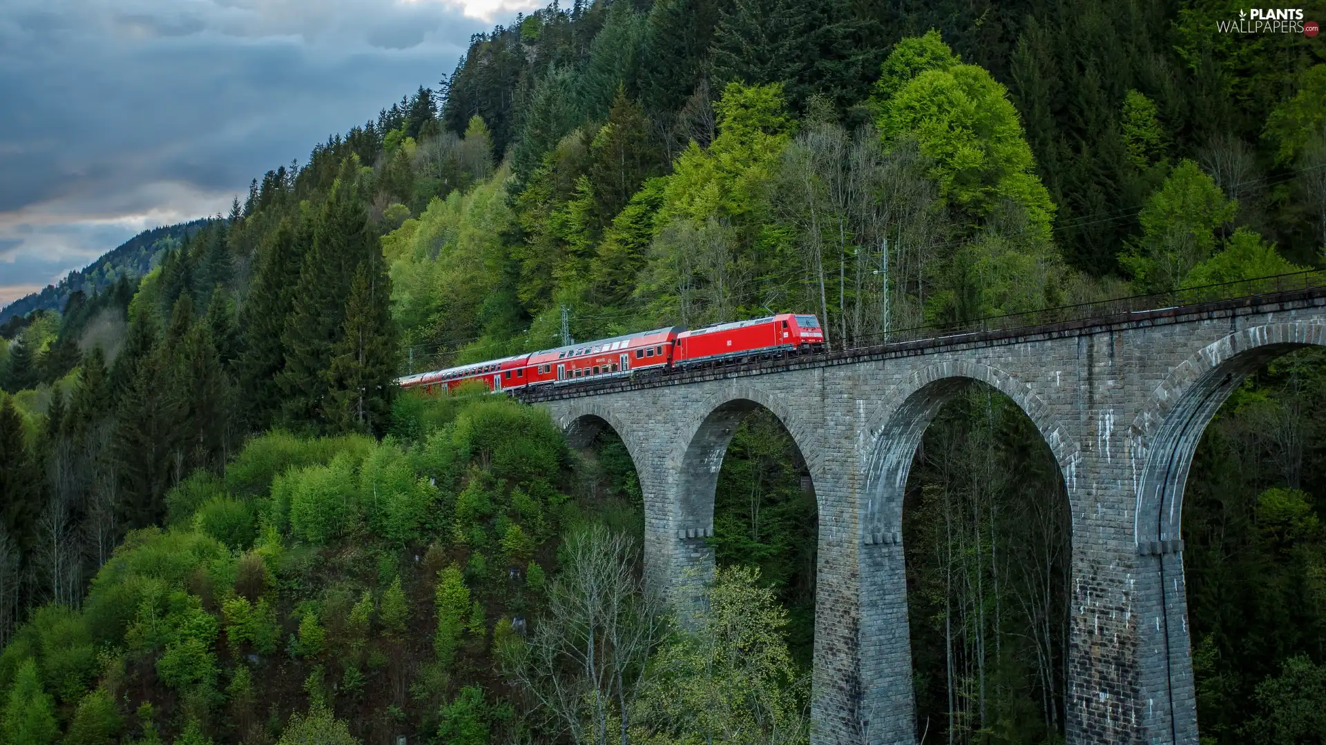 bridge, slope, trees, Red, viewes, mountains, green ones, Train, overpass, forest