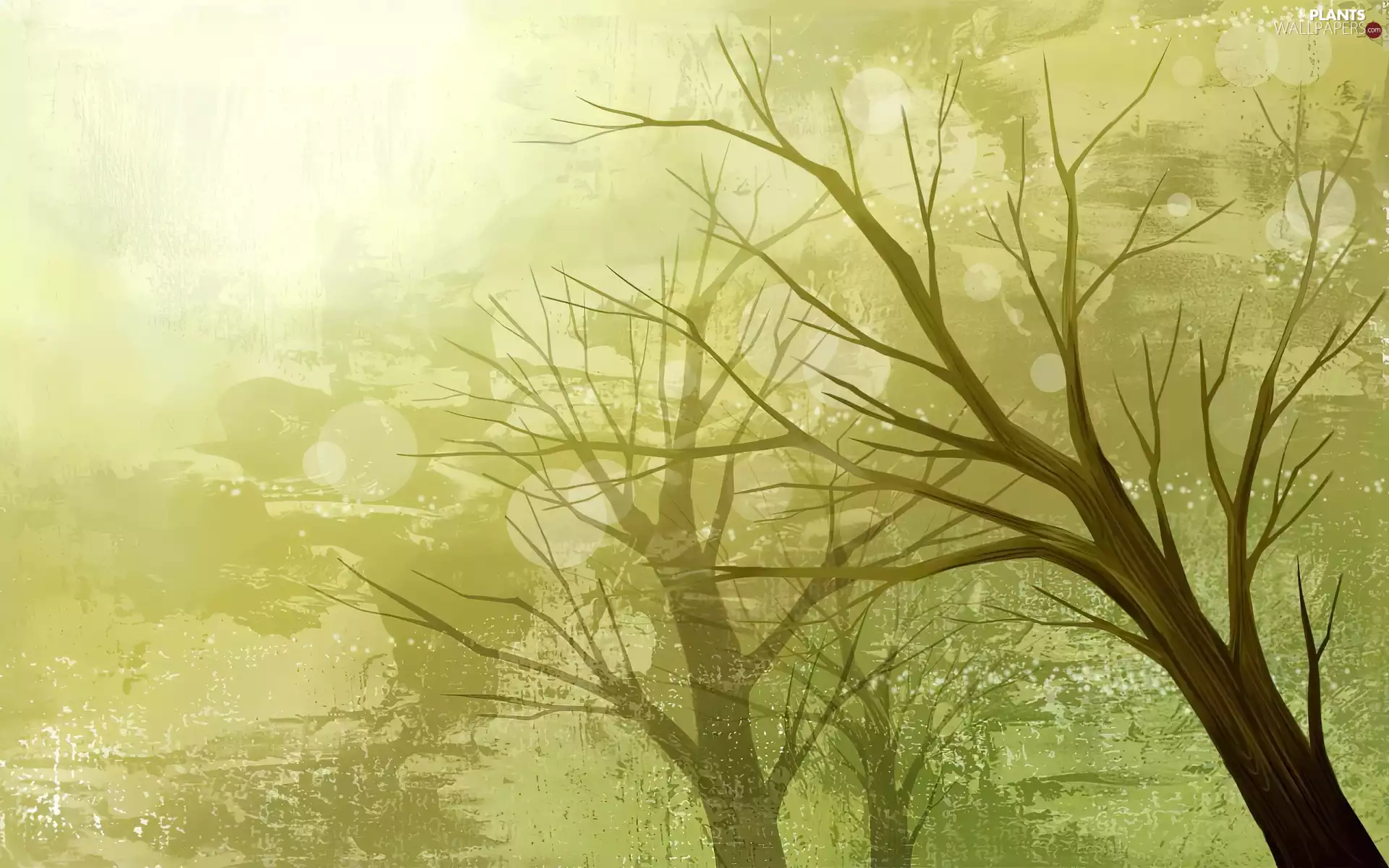 trees, green ones, background, viewes