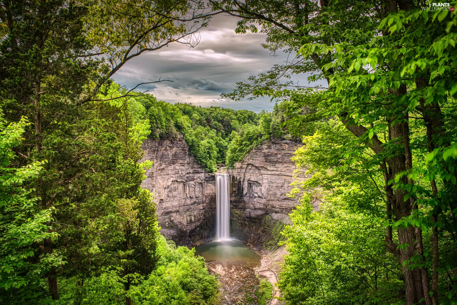 trees, viewes, waterfall, green ones, rocks