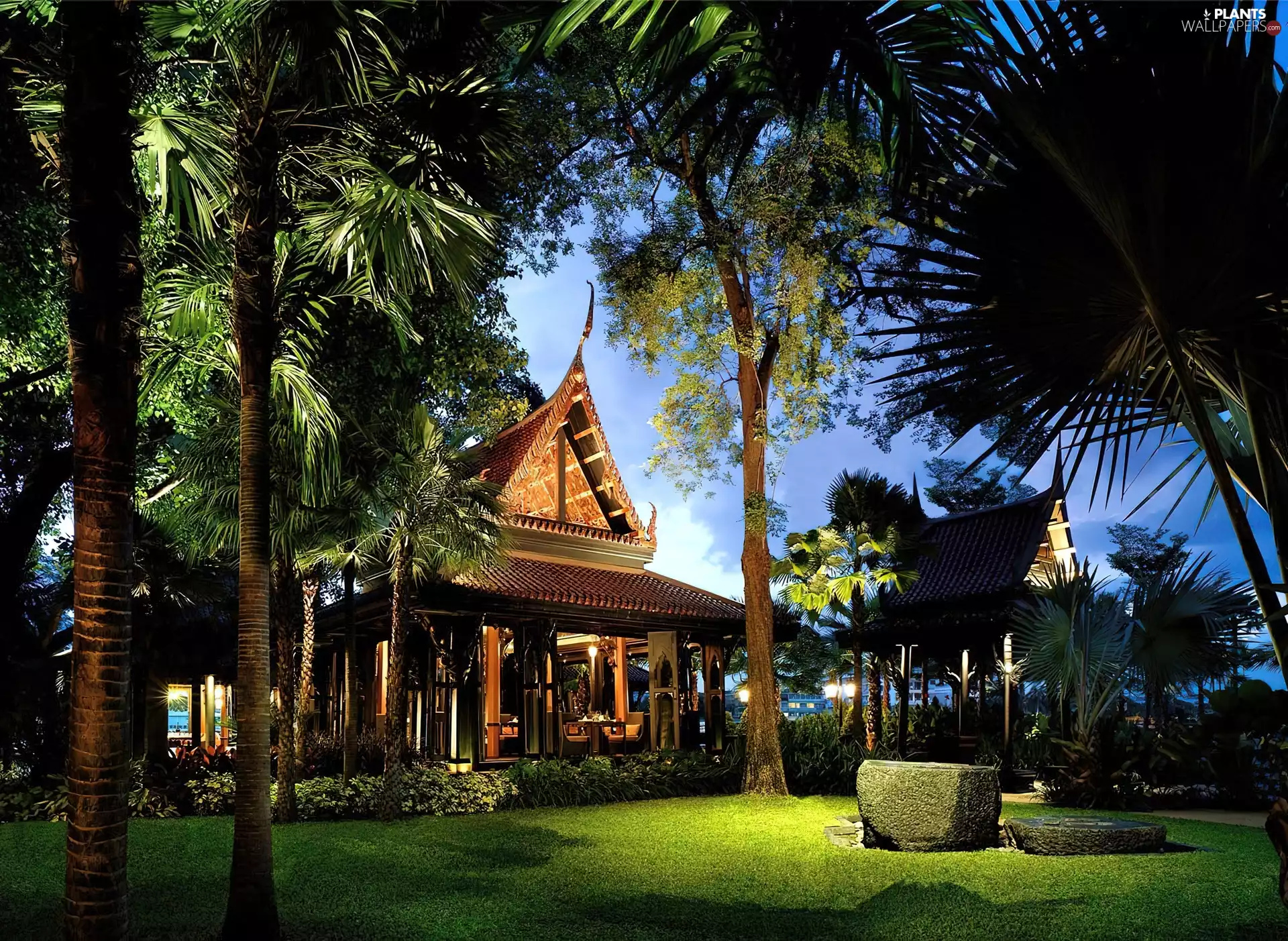 Hotel hall, Palms, Thailand, Garden