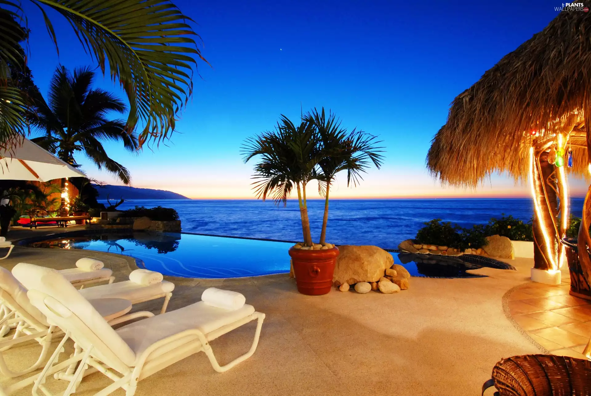 Hotel hall, Pool, Palms, sea
