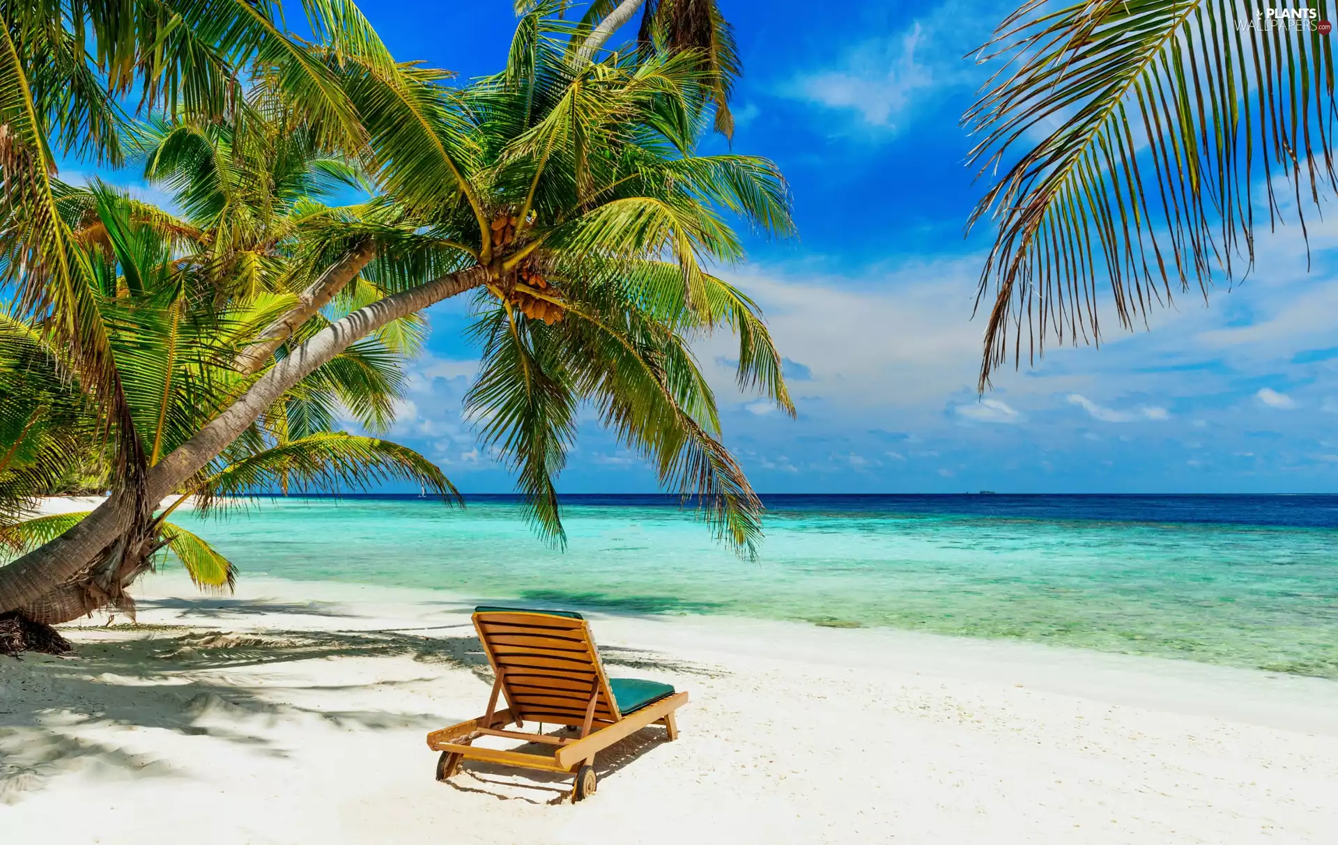 Ocean, holiday, Palms, hammock chair, Beaches