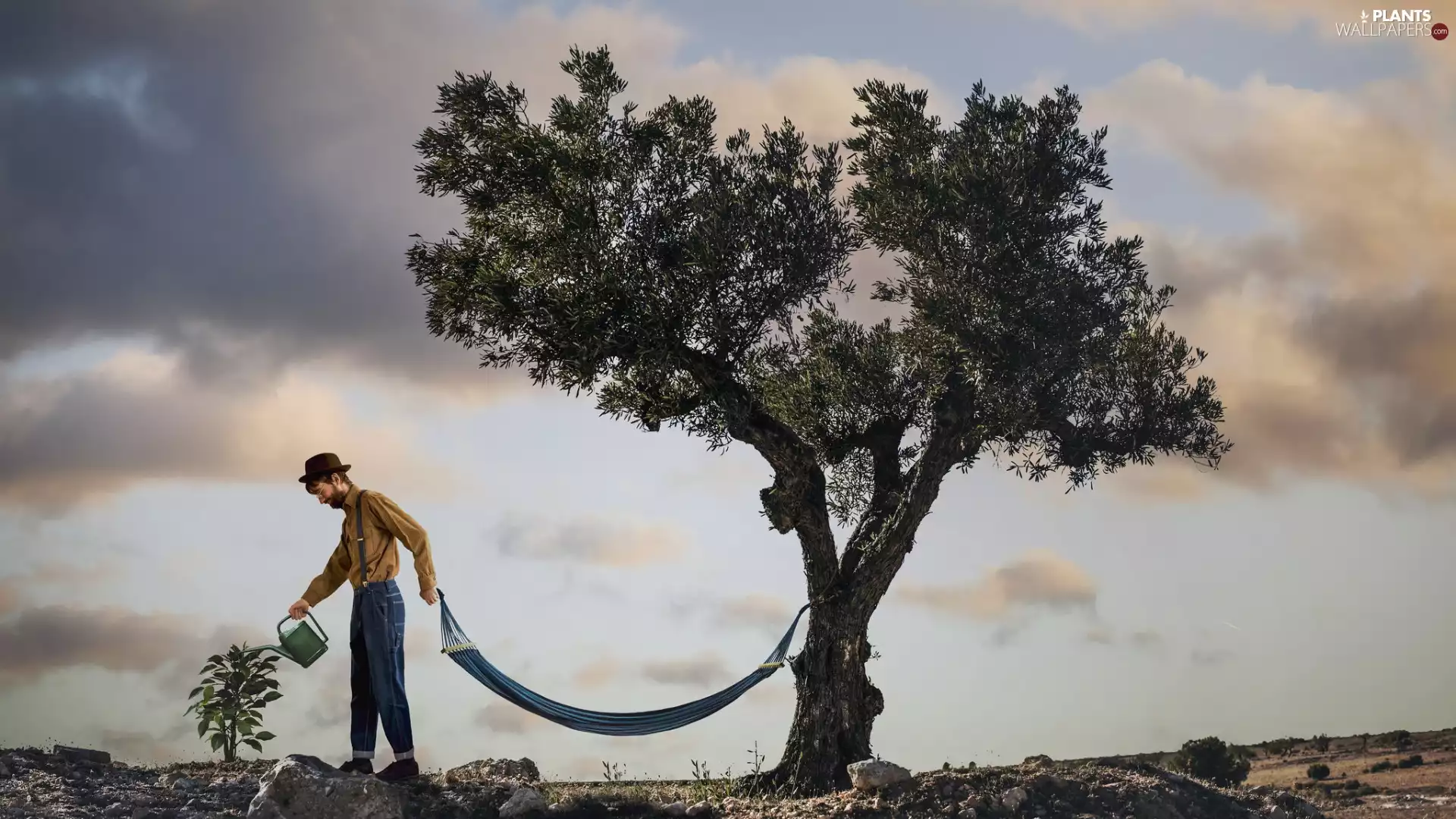 Hammock, trees, watering can, viewes, a man, Funny, photomontage