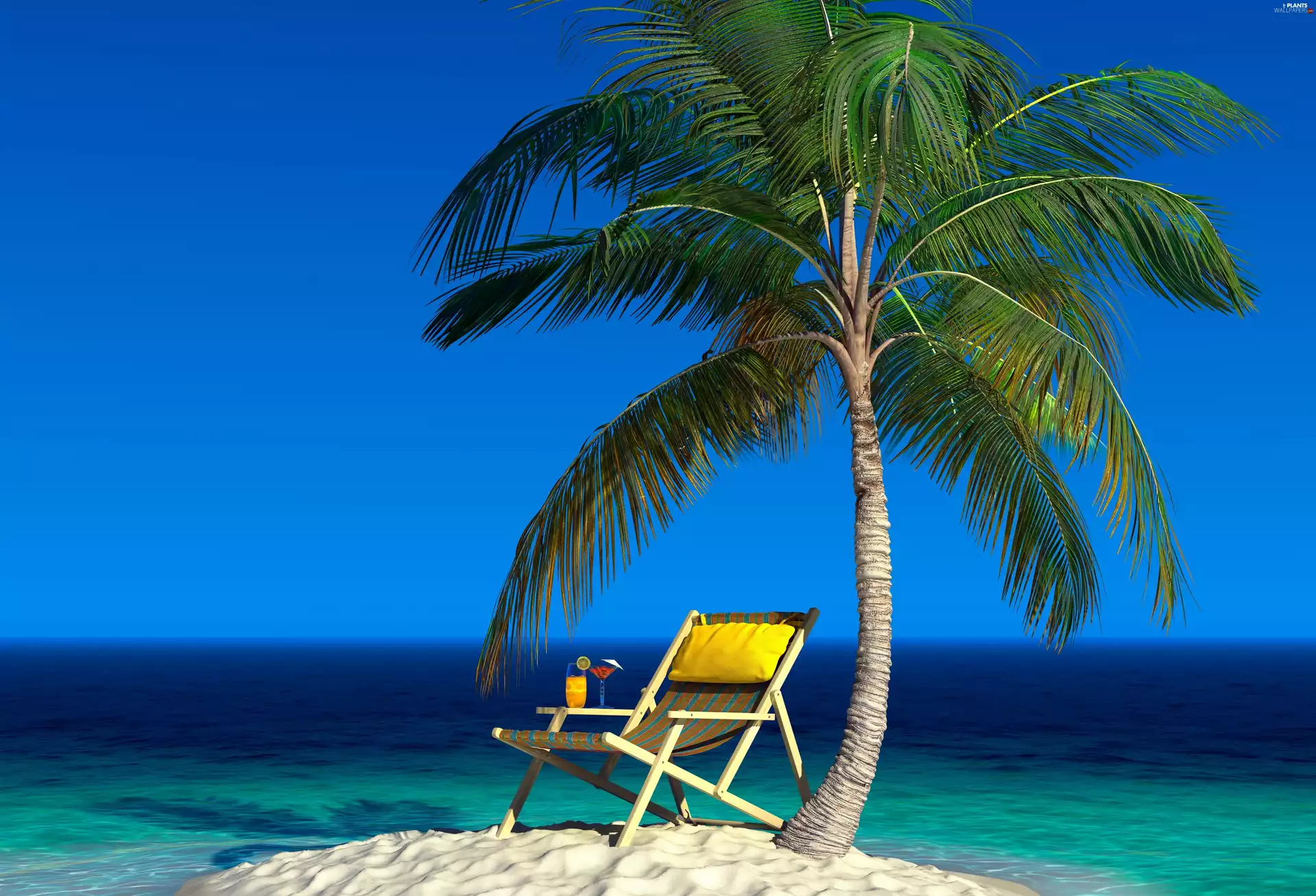 Drink, holiday, Palm, hammock chair, sea