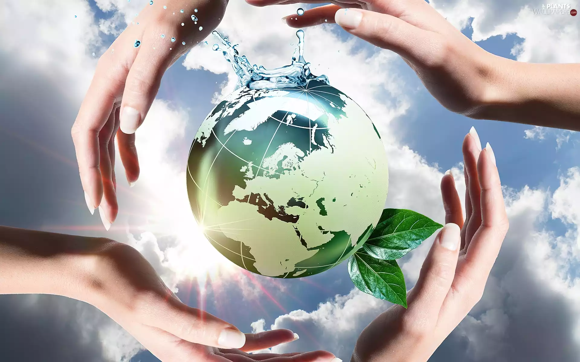 Leaf, hands, land, water, Planet