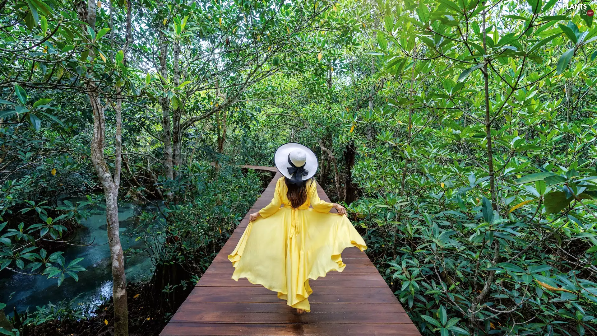 Hat, Women, Yellow Honda, dress, forest, VEGETATION, trees, viewes, footbridge
