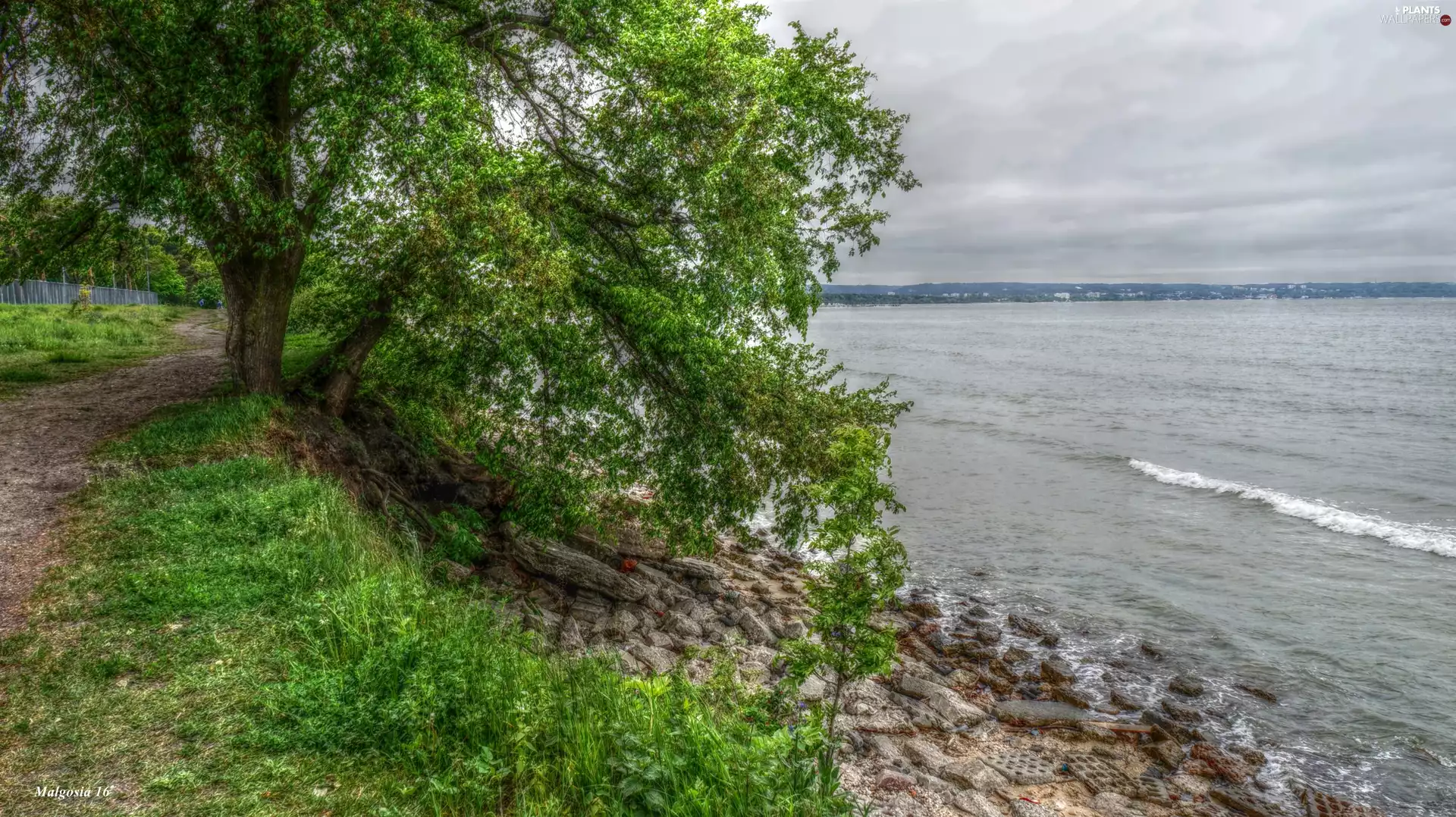 Stones, HDR, Coast, sea, trees