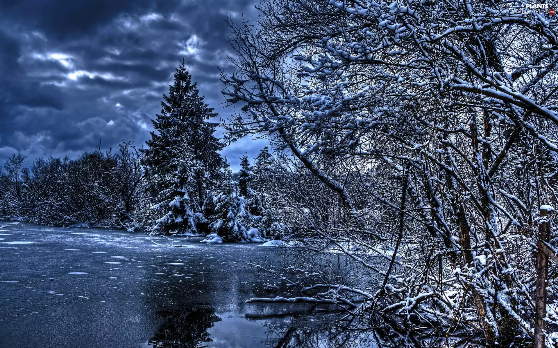 viewes, HDR, River, trees, winter