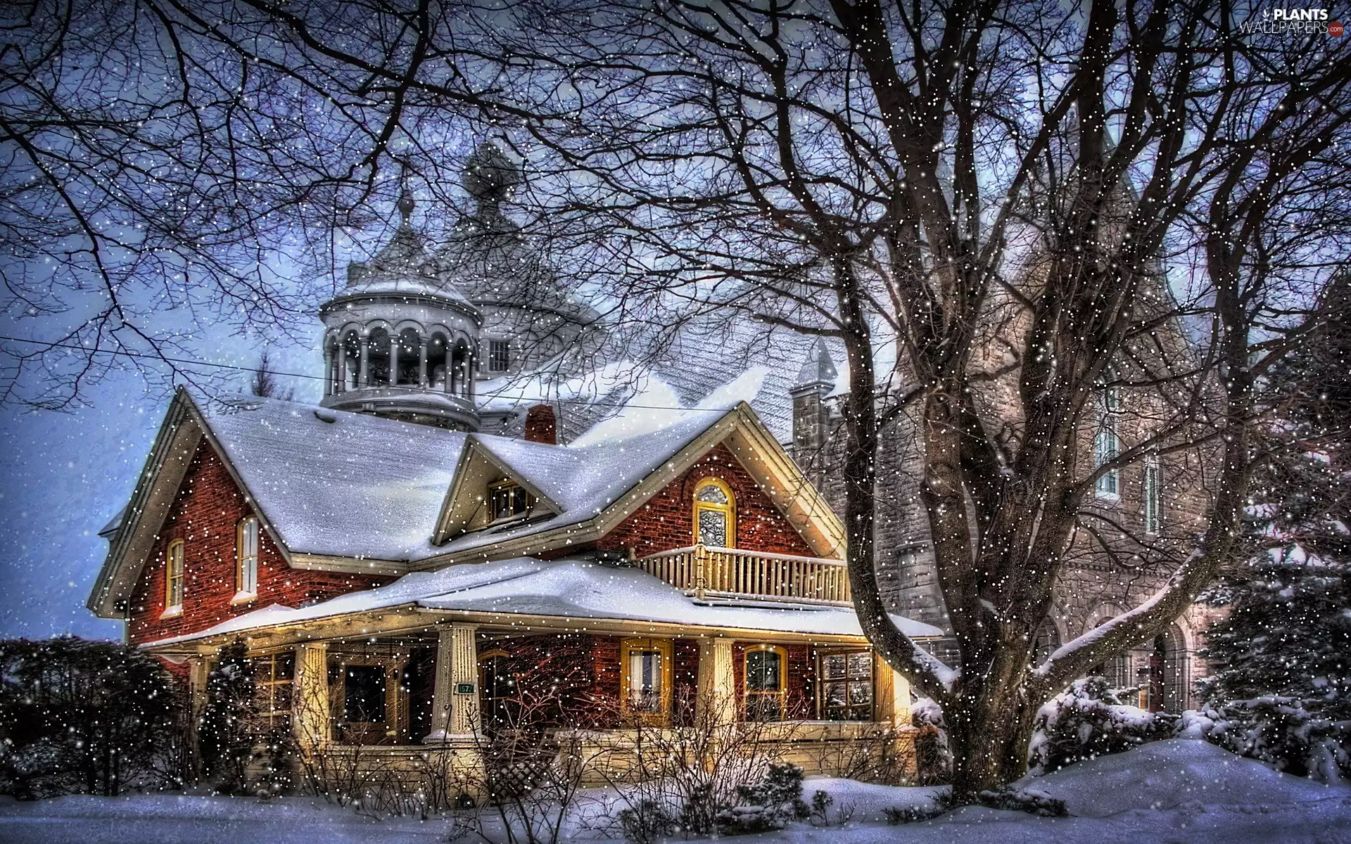 viewes, HDR, winter, trees, house