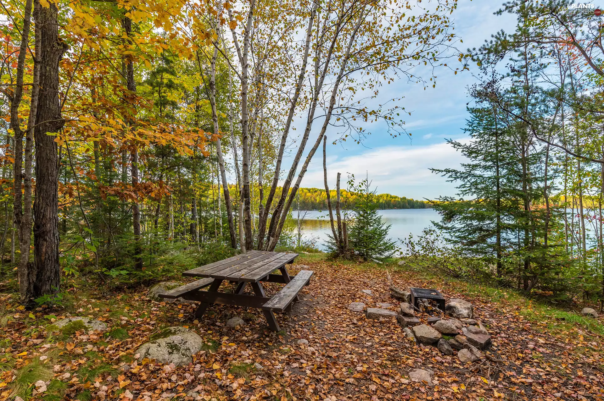 trees, autumn, Bench, hearth, viewes, lake