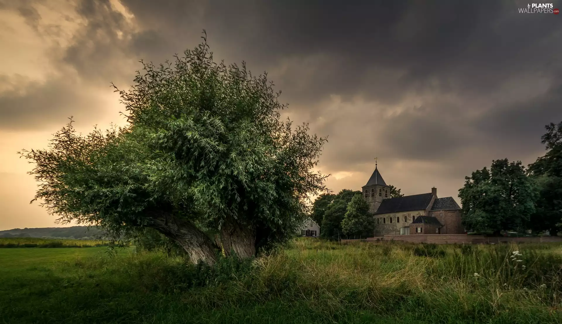 Hervormde Kerk Church, farm, clouds, Field, Sky, Oosterbeek, Netherlands, trees