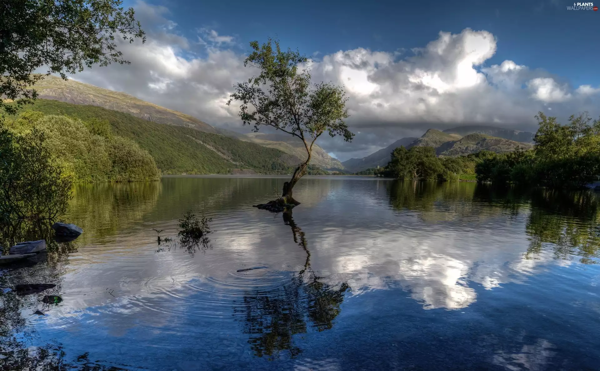 River, trees, clouds, Hill