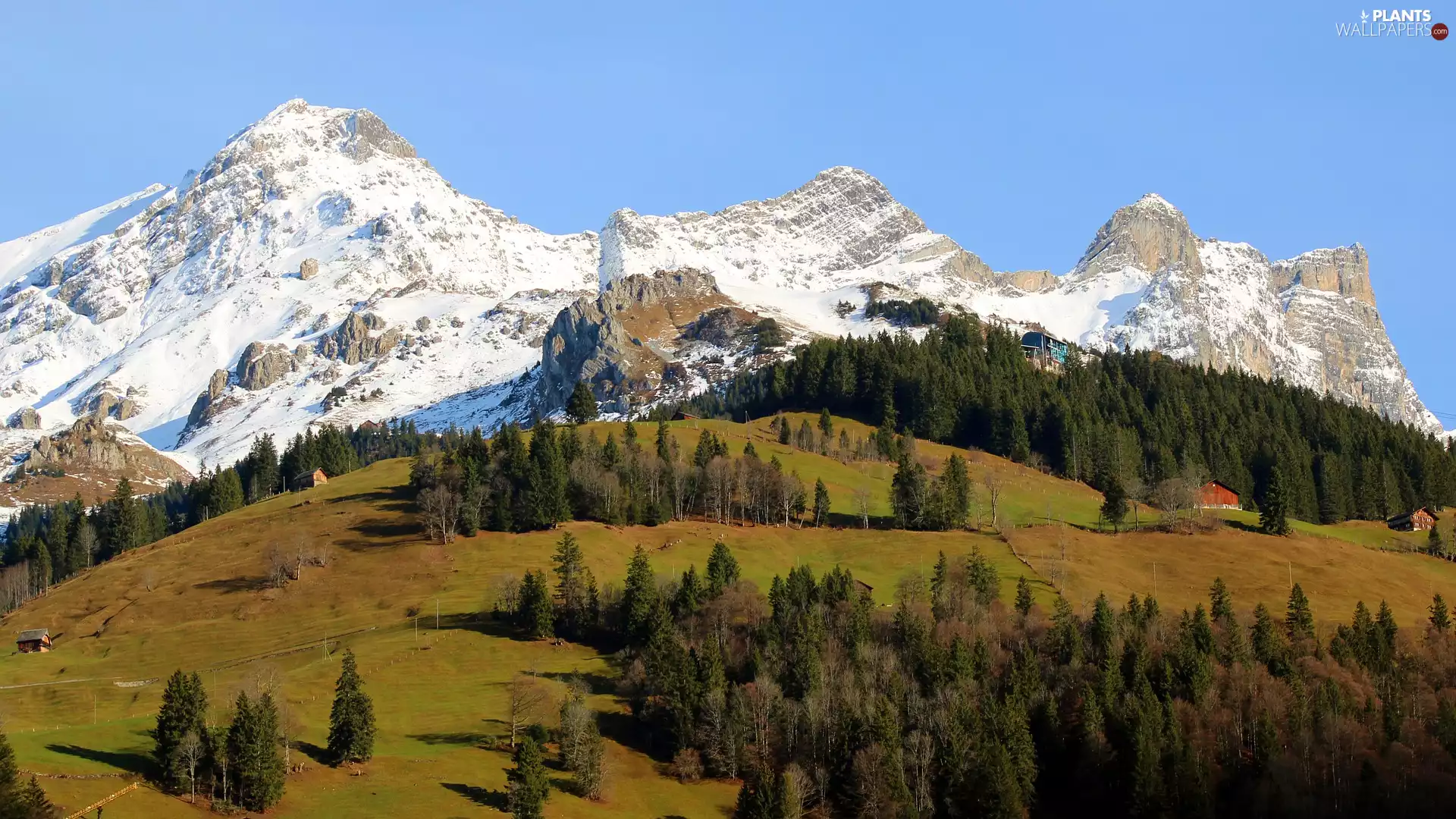 trees, viewes, Switzerland, Houses, Engelberg, Alps, Mountains, Hill