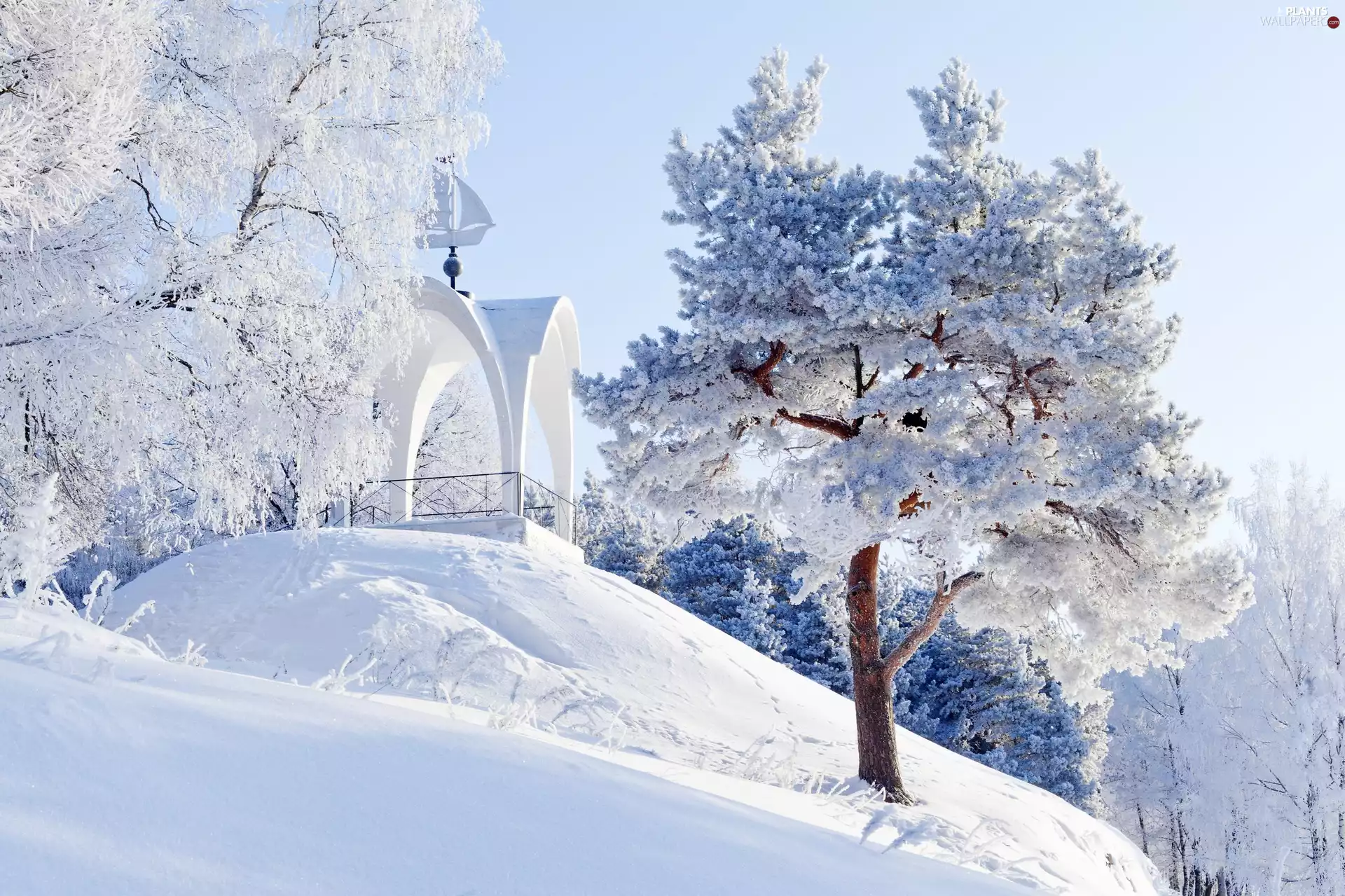 arbour, Hill, trees, viewes, winter
