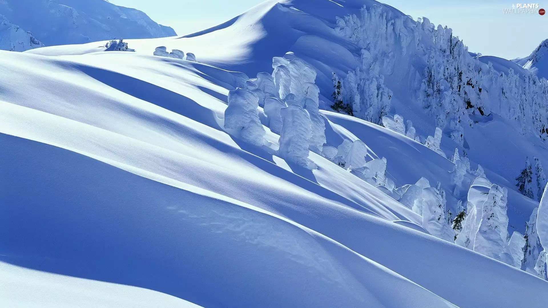 snow, Hill, trees, viewes, winter