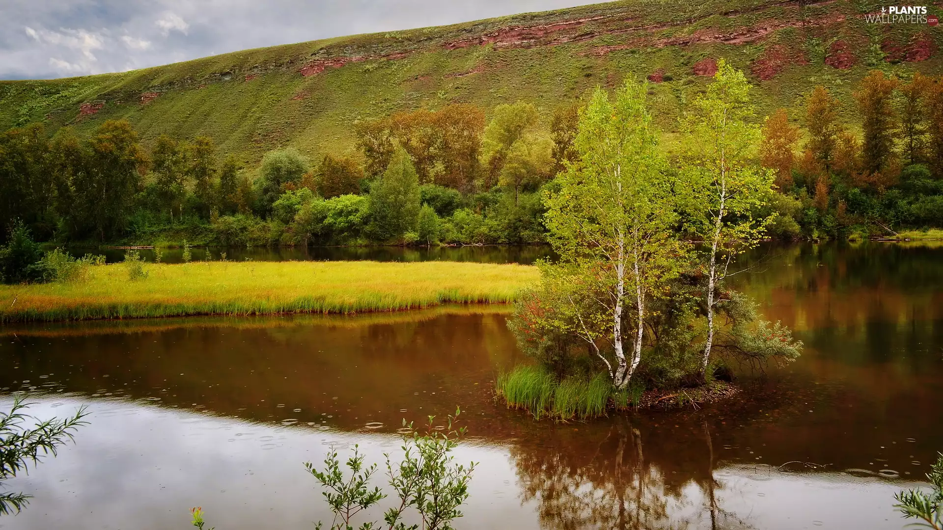 Islet, grass, viewes, Hill, lake, trees, birch