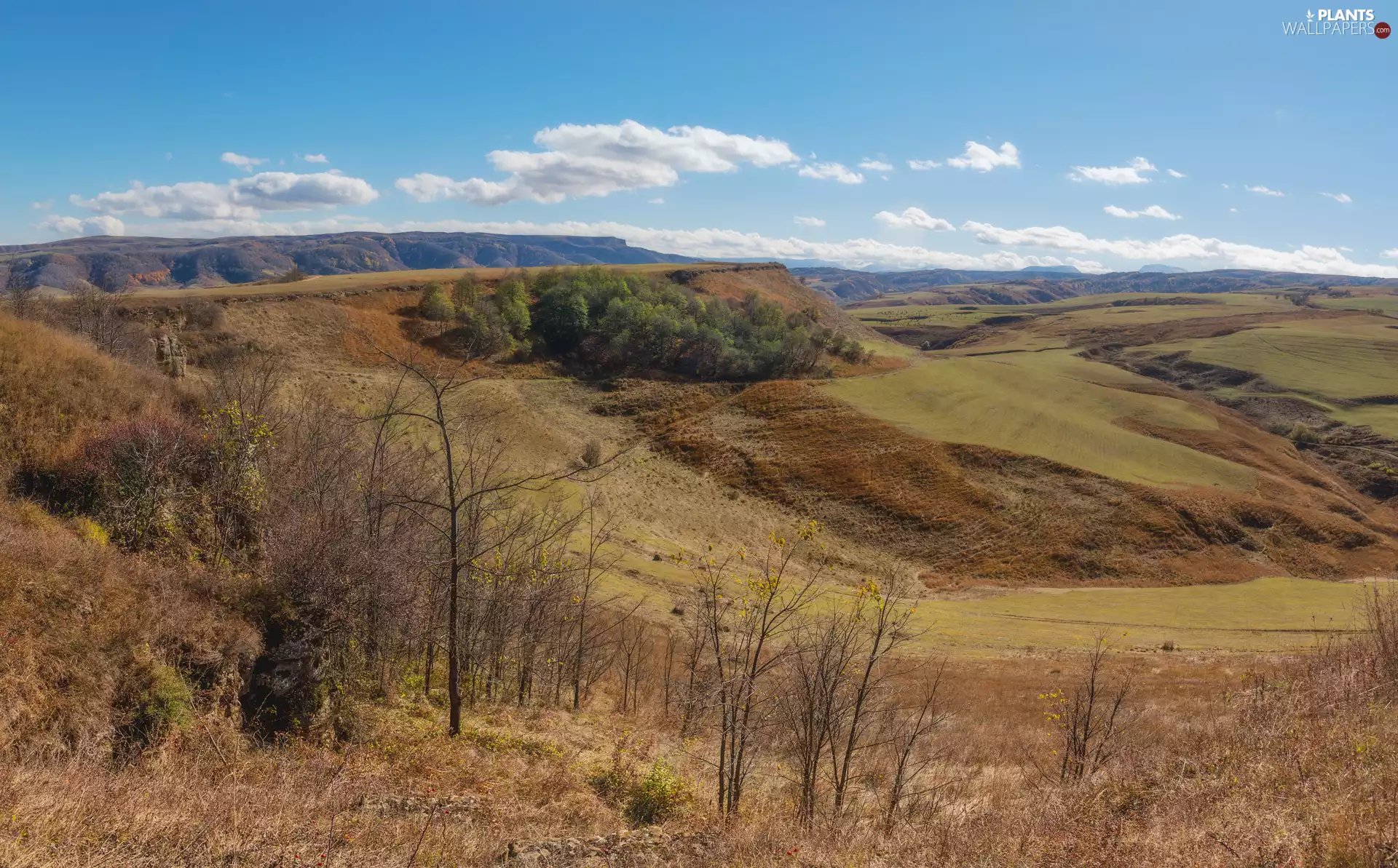 trees, viewes, The Hills, grass, autumn