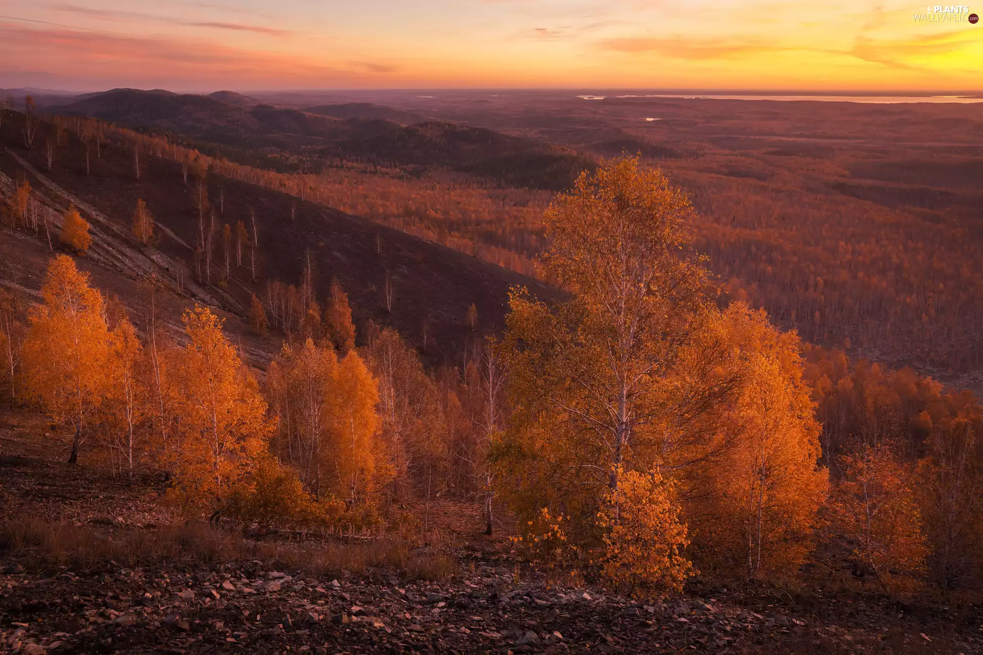 viewes, Stones, The Hills, trees, autumn