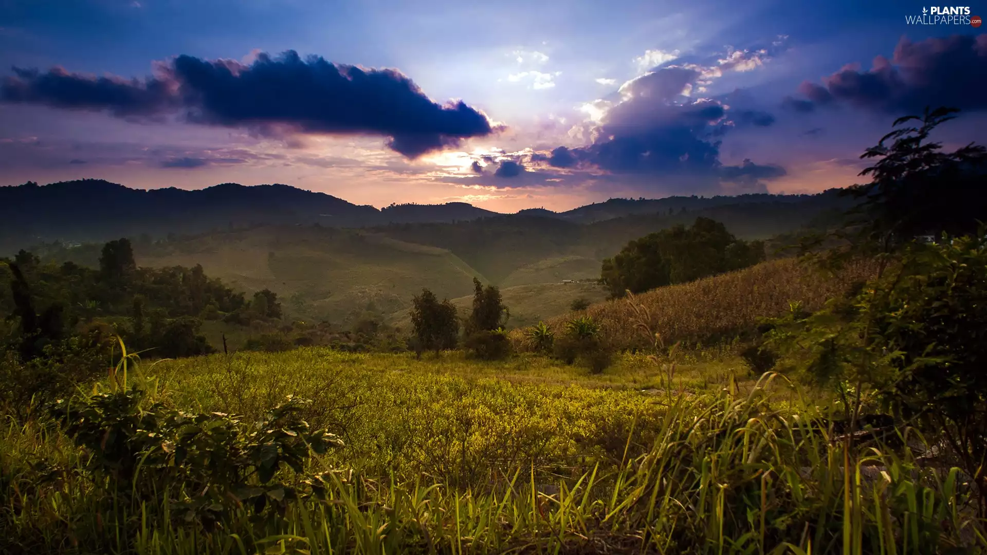 grass, clouds, The Hills