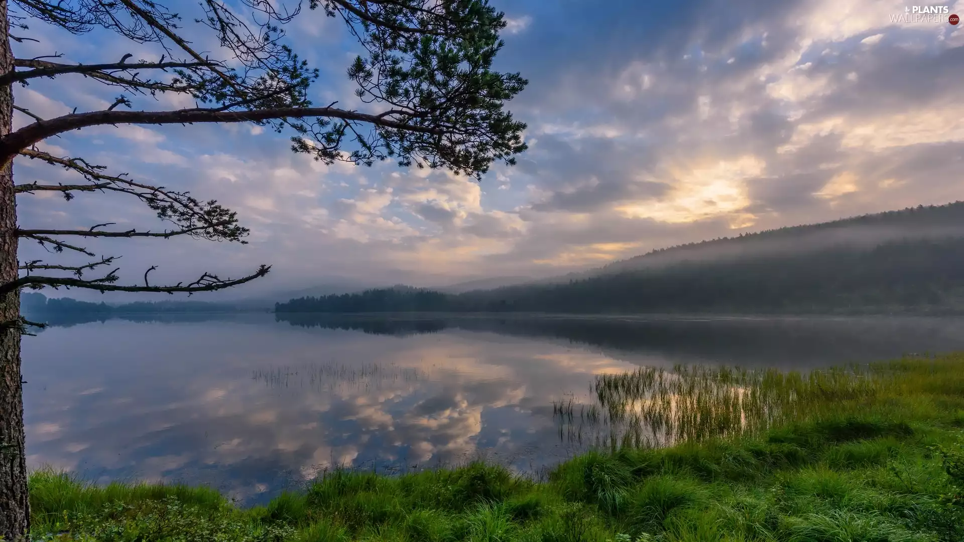 reflection, trees, The Hills, clouds, lake