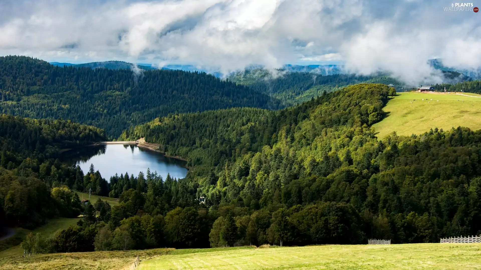 trees, viewes, The Hills, lake, Mountains