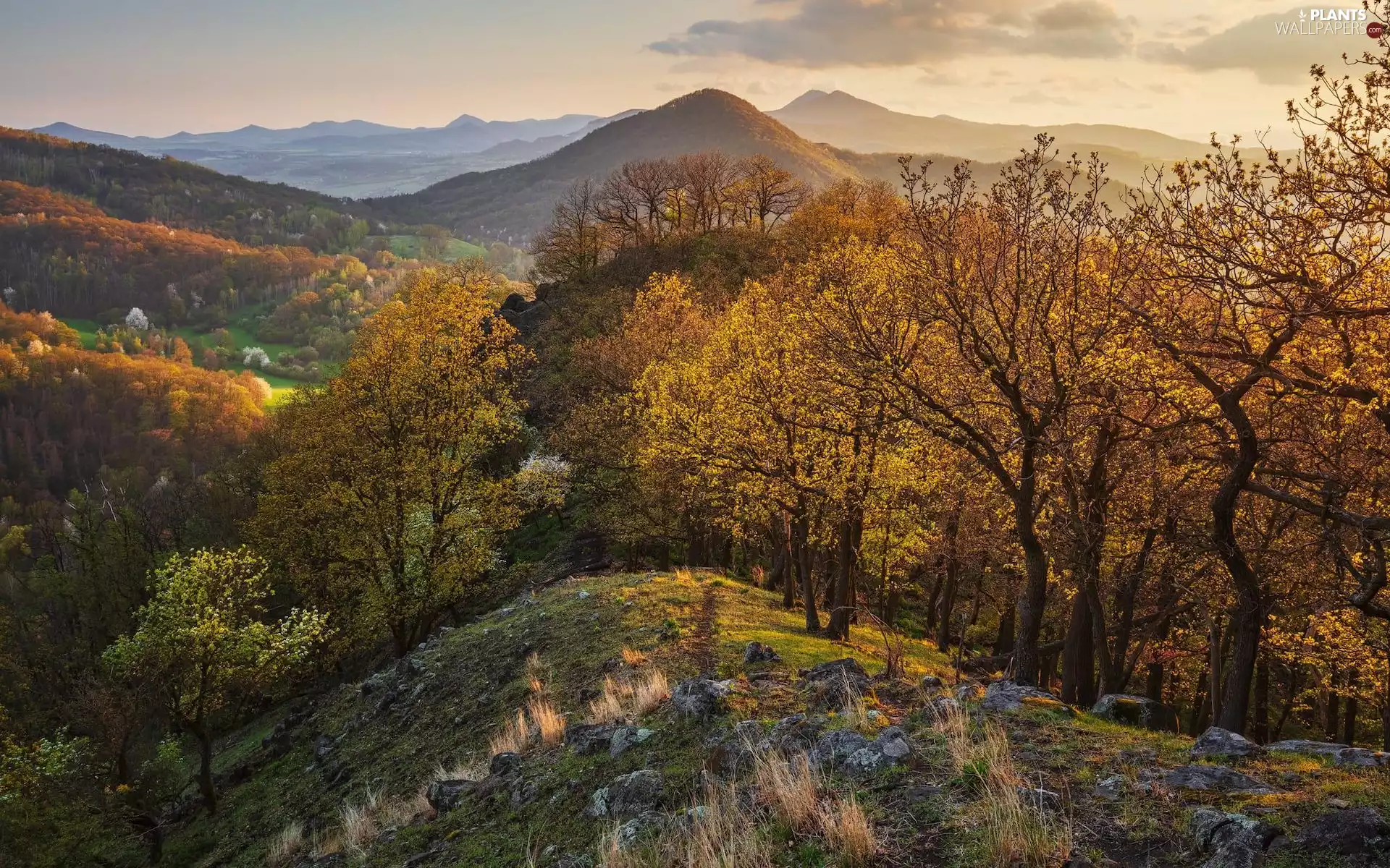viewes, autumn, The Hills, trees, Mountains