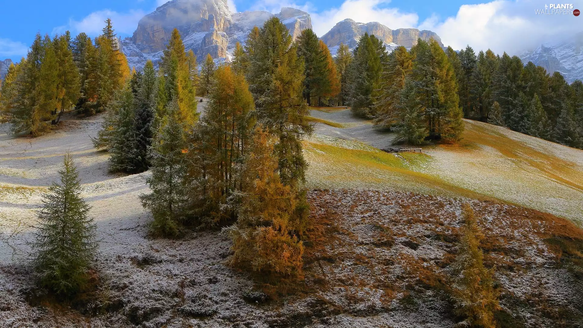 viewes, snow, The Hills, trees, Mountains
