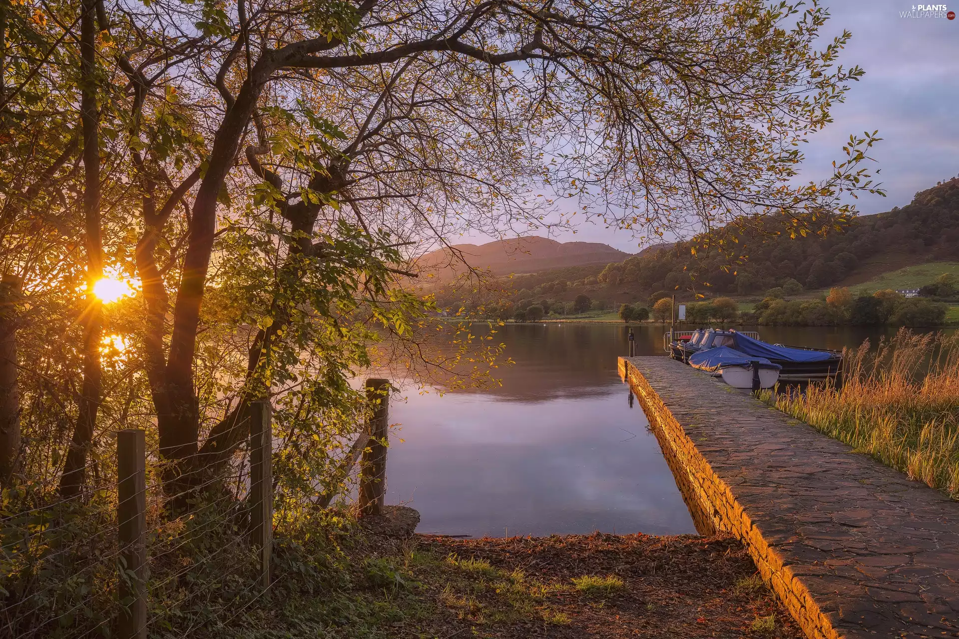 trees, rays of the Sun, The Hills, Platform, lake, viewes, boats