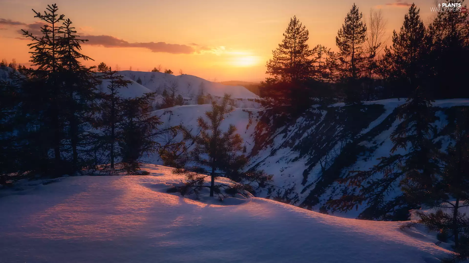 trees, winter, snow, Great Sunsets, viewes, The Hills