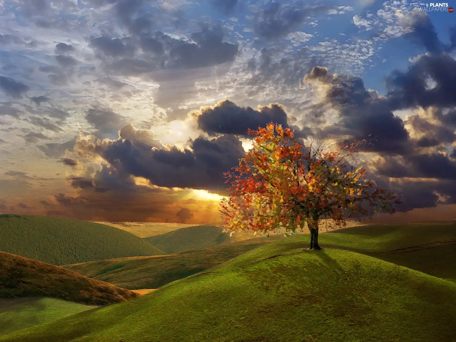 hills, trees, west, sun, clouds