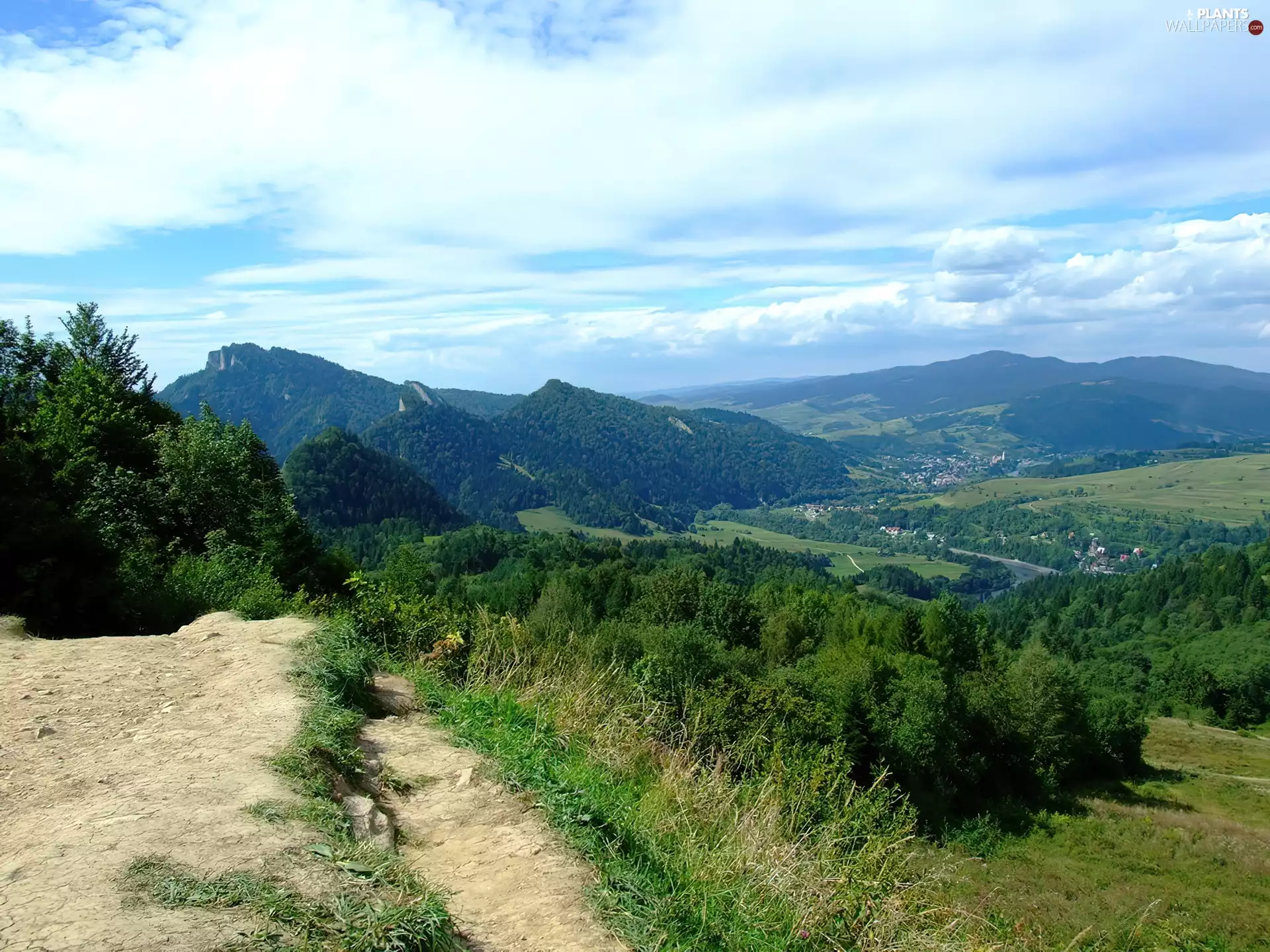 The Hills, trees, viewes, Sky