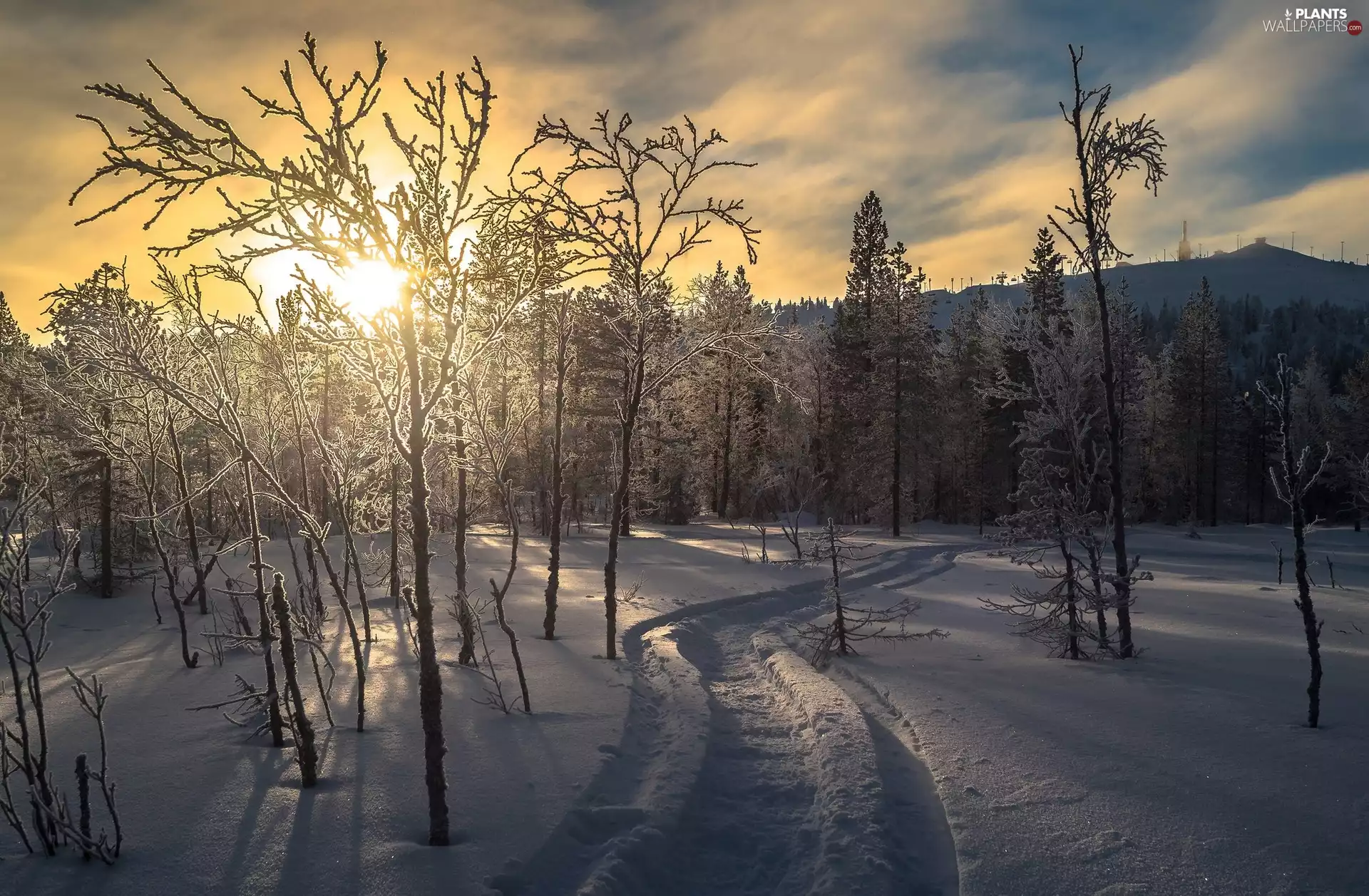 trees, frosty, viewes, winter, Ruka Hills, The Hills, Way, Finland, Sunrise, forest, City of Ruka, Northern Ostrobothnia Region