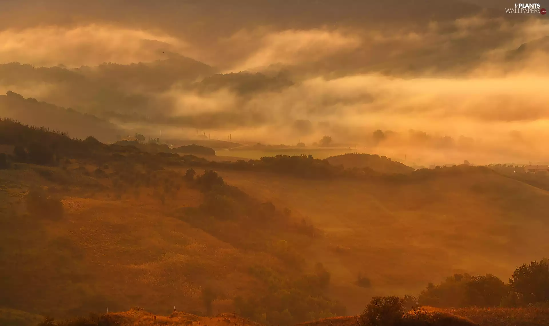 medows, Tuscany, viewes, Fog, Italy, trees, The Hills