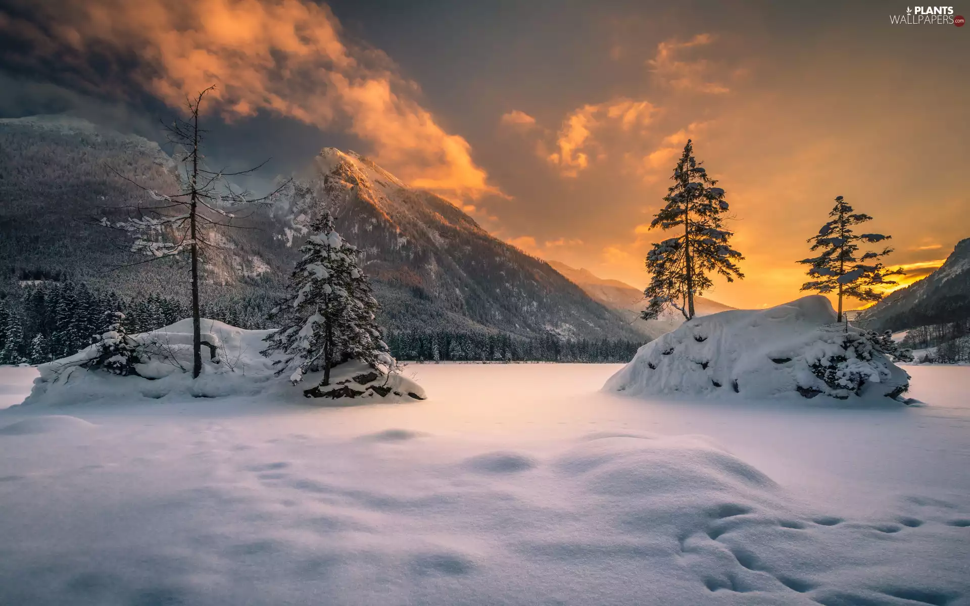 snow, winter, trees, viewes, Bavaria, Germany, Alps Mountains, Lake Hintersee, Great Sunsets